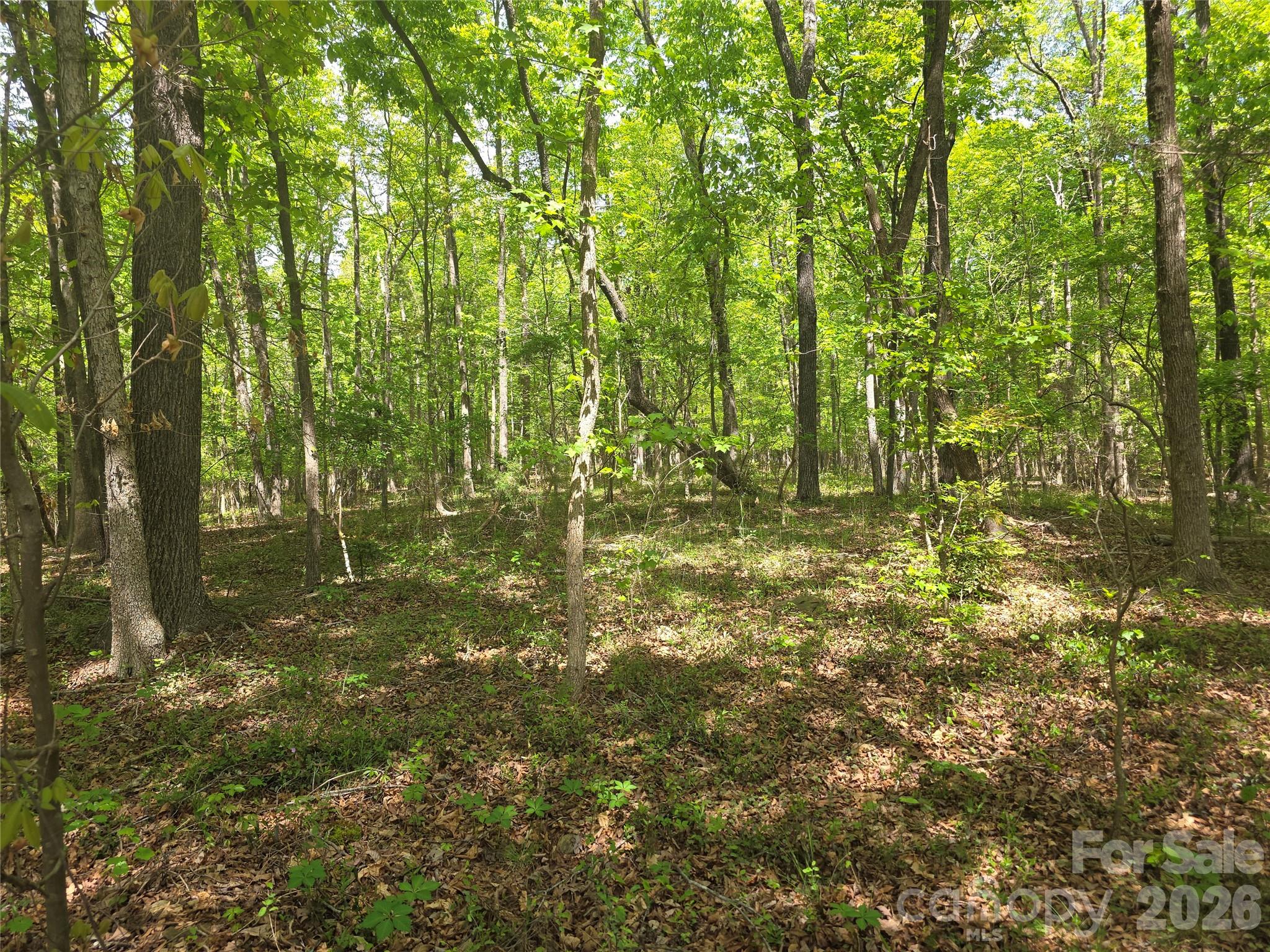 Lot 5 Wolf Pond Road