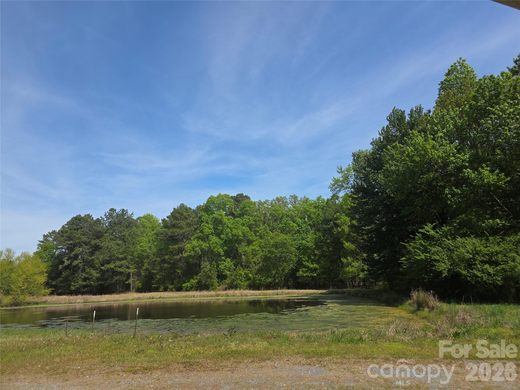 Lot 5 Wolf Pond Road