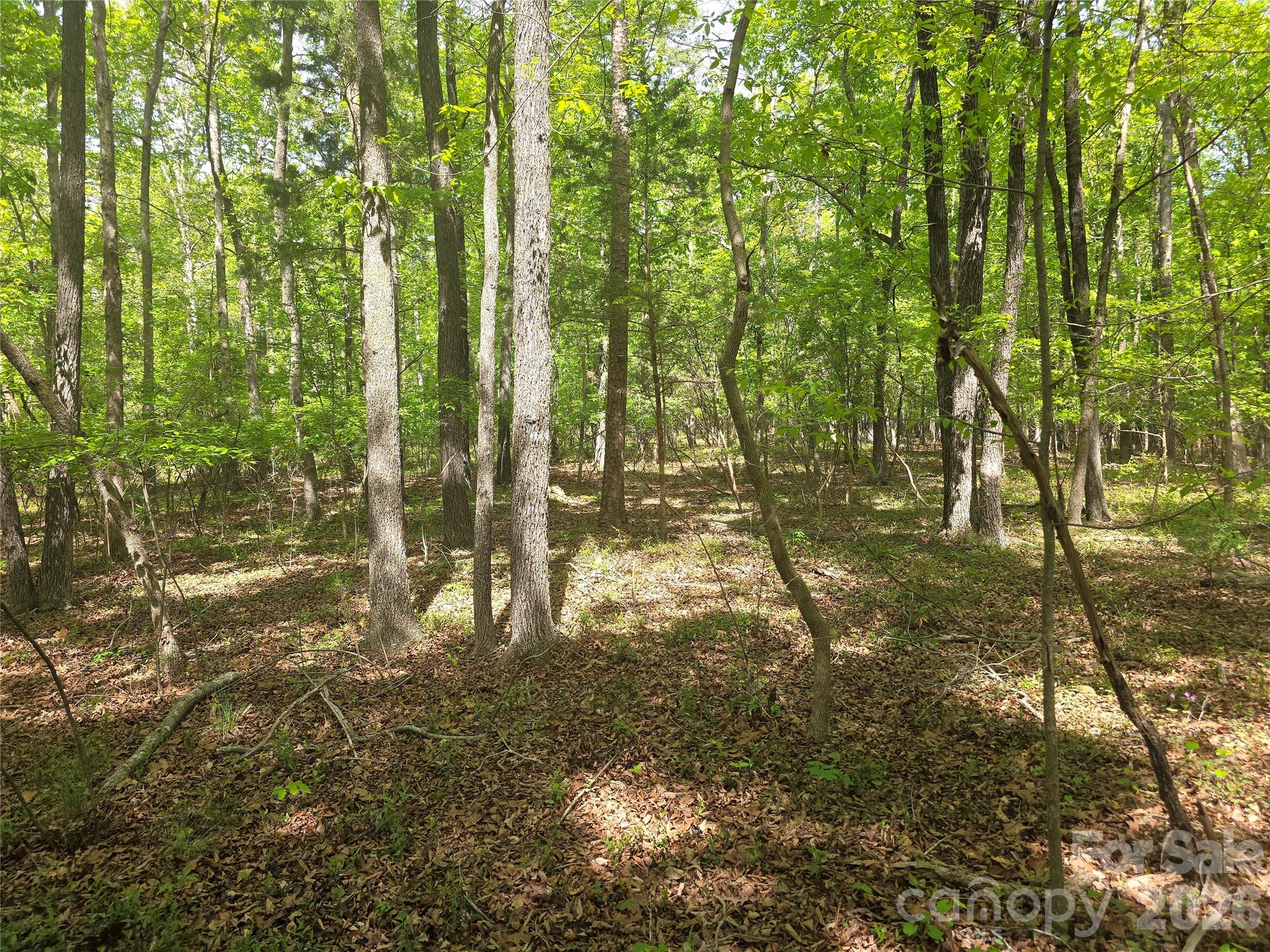 Lot 5 Wolf Pond Road
