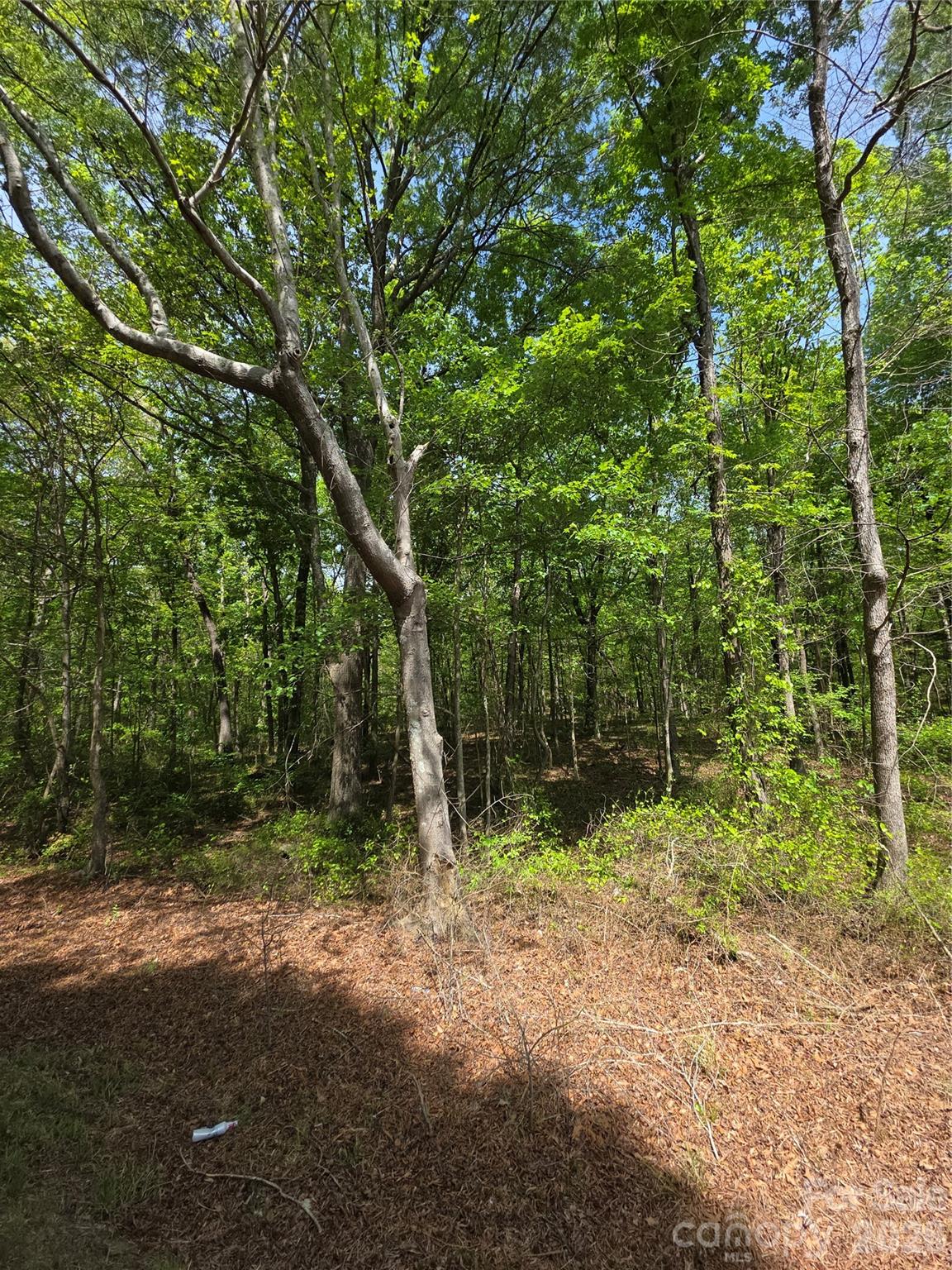 Lot 5 Wolf Pond Road