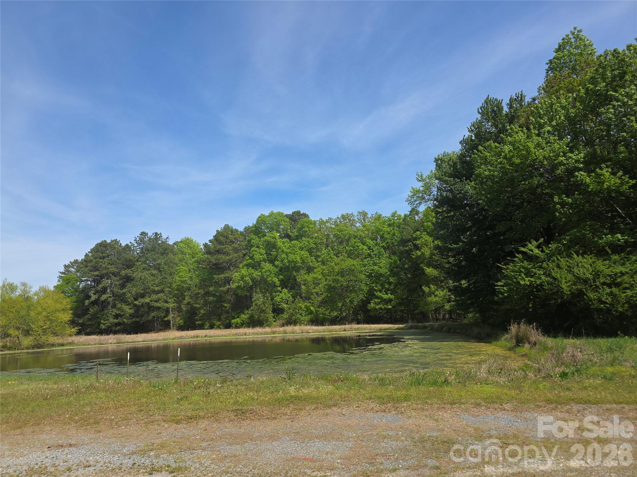 Lot 5 Wolf Pond Road
