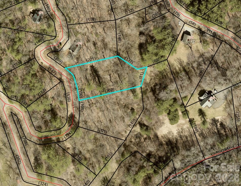 Wooded parcel outlined in cyan beside Buckland Road, with neighboring property boundaries and homes.