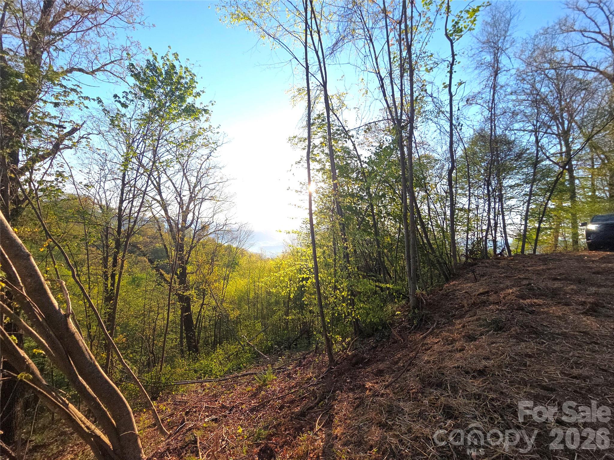 Wooded hillside lot with autumn foliage and a distant mountain view.