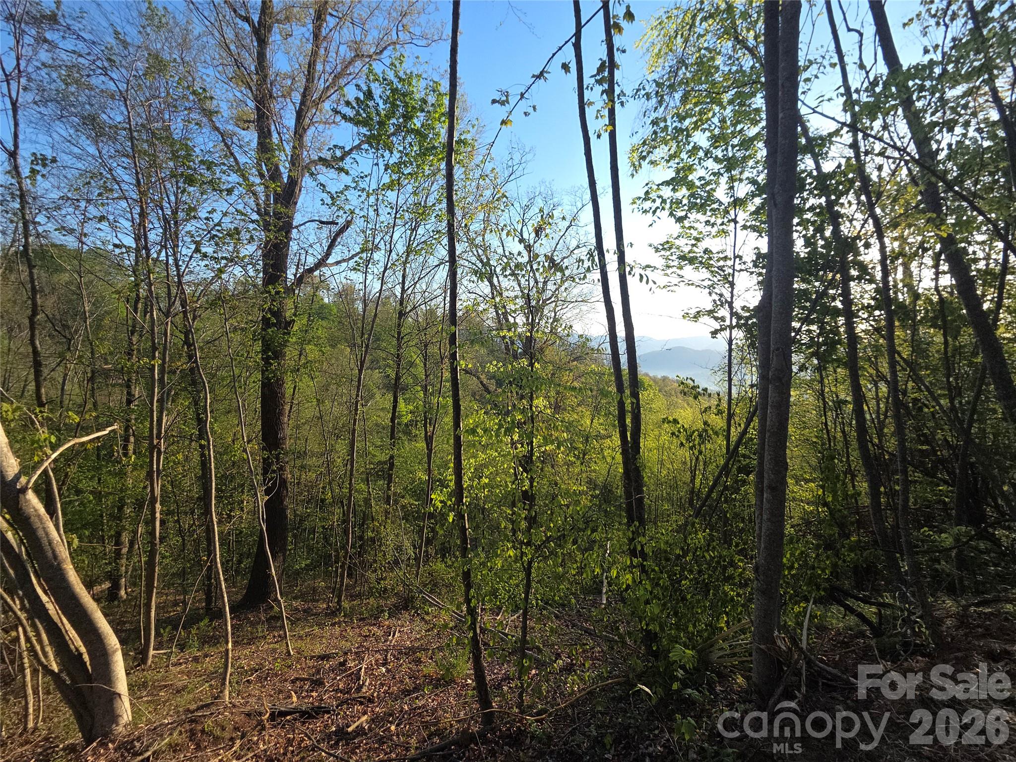 3355 Utah Mountain Road Unit: 3-F