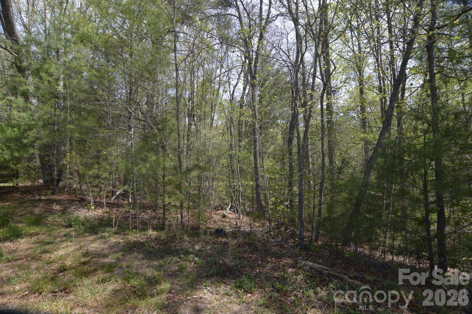 Wooded vacant land with dense trees and a leaf-covered forest floor.