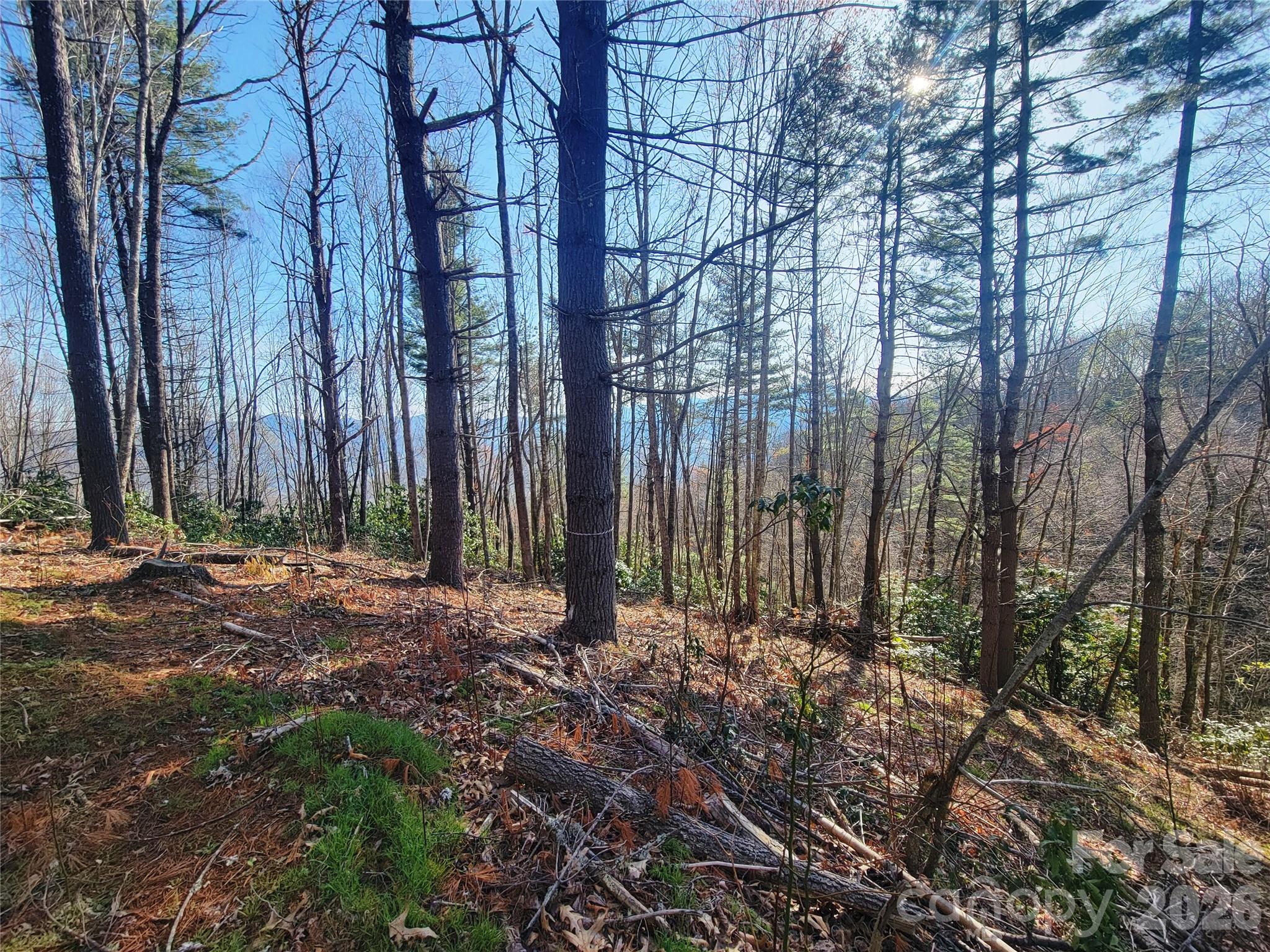 111 Digging Seng Trail Unit: 138