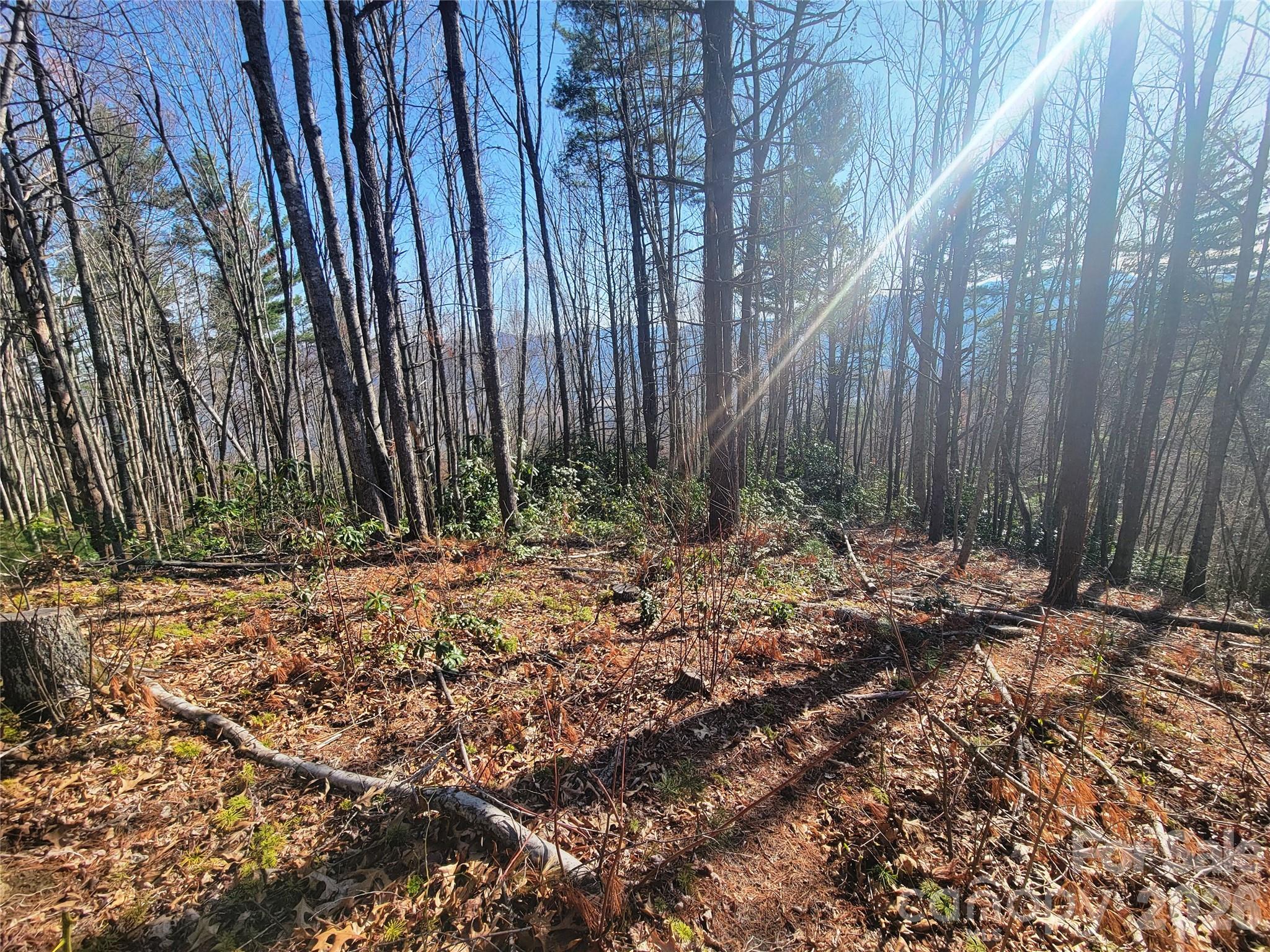 111 Digging Seng Trail Unit: 138