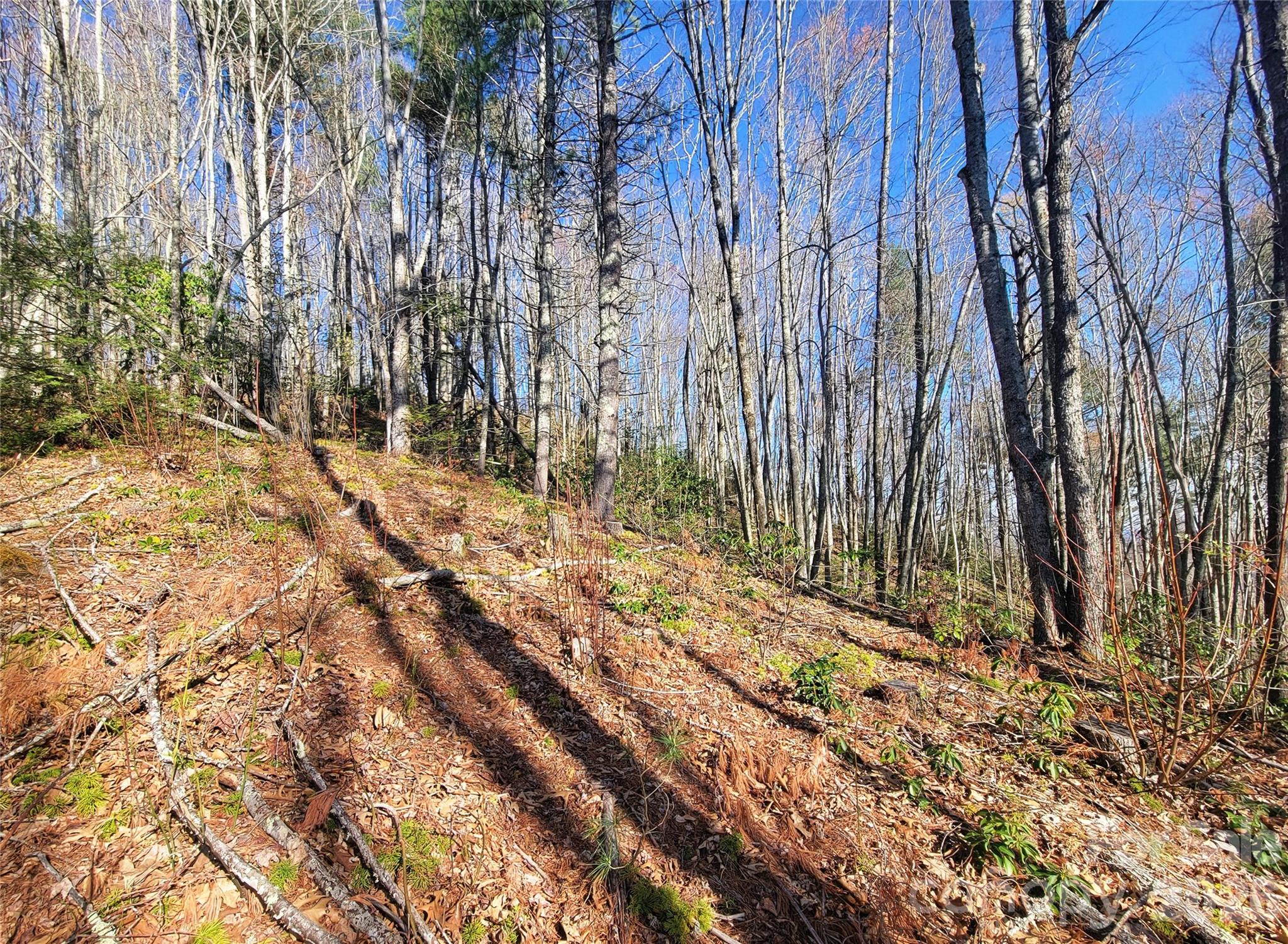 111 Digging Seng Trail Unit: 138