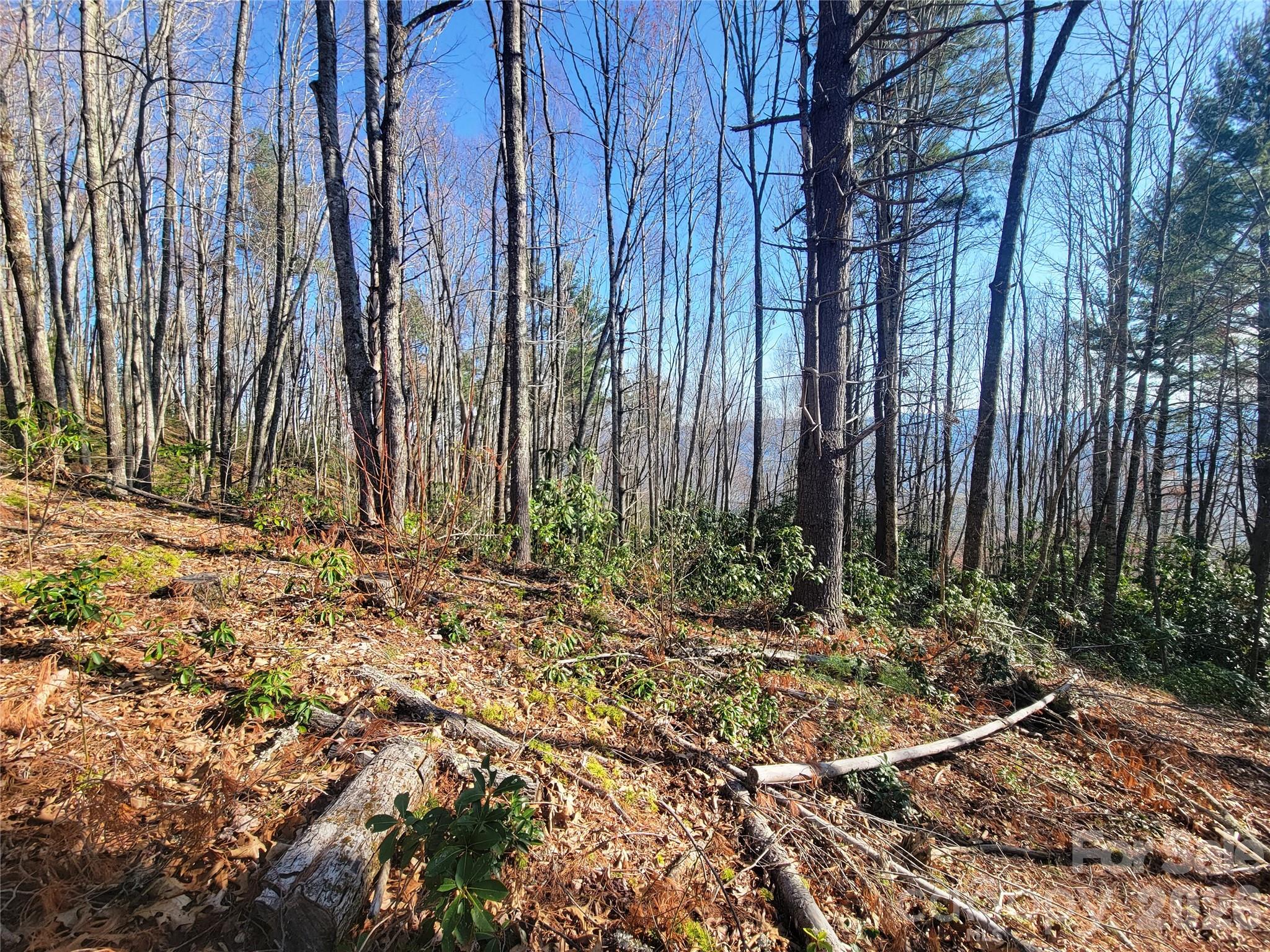 111 Digging Seng Trail Unit: 138