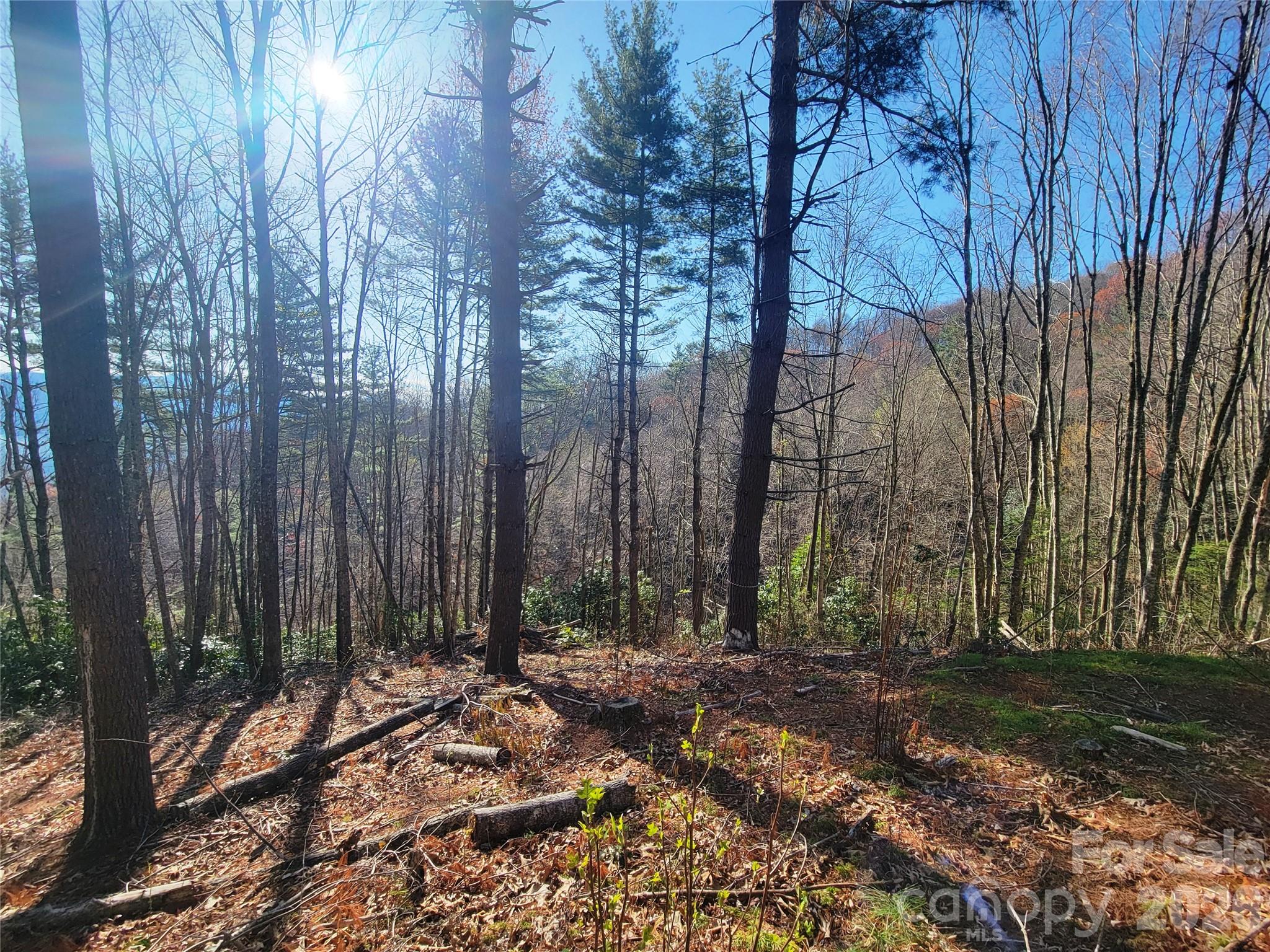 111 Digging Seng Trail Unit: 138