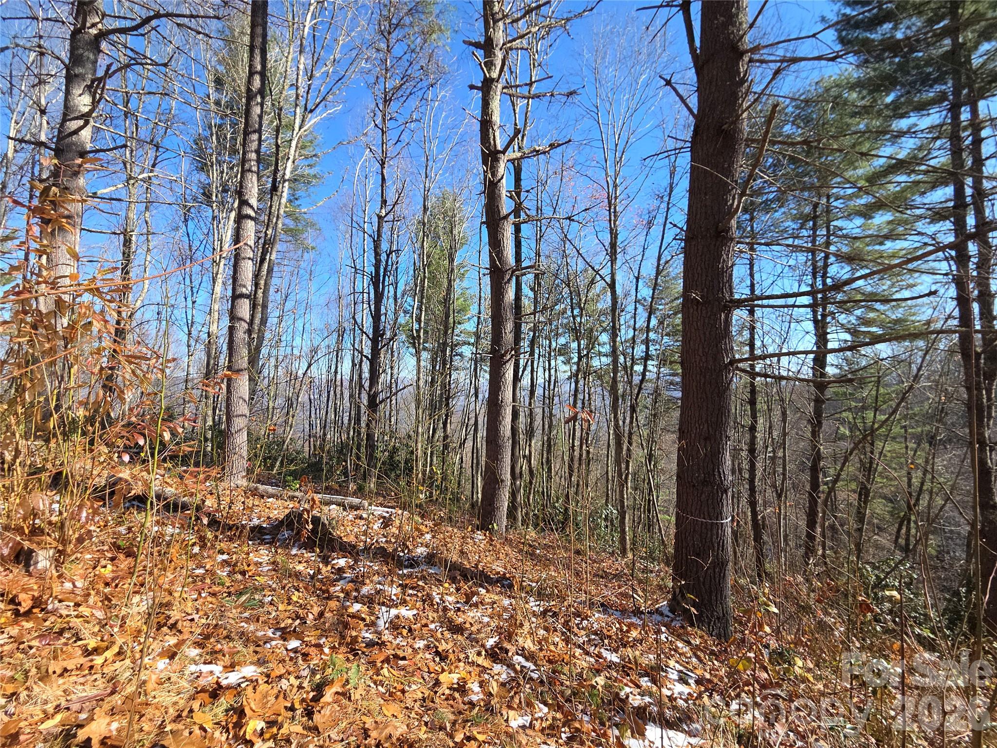 111 Digging Seng Trail Unit: 138