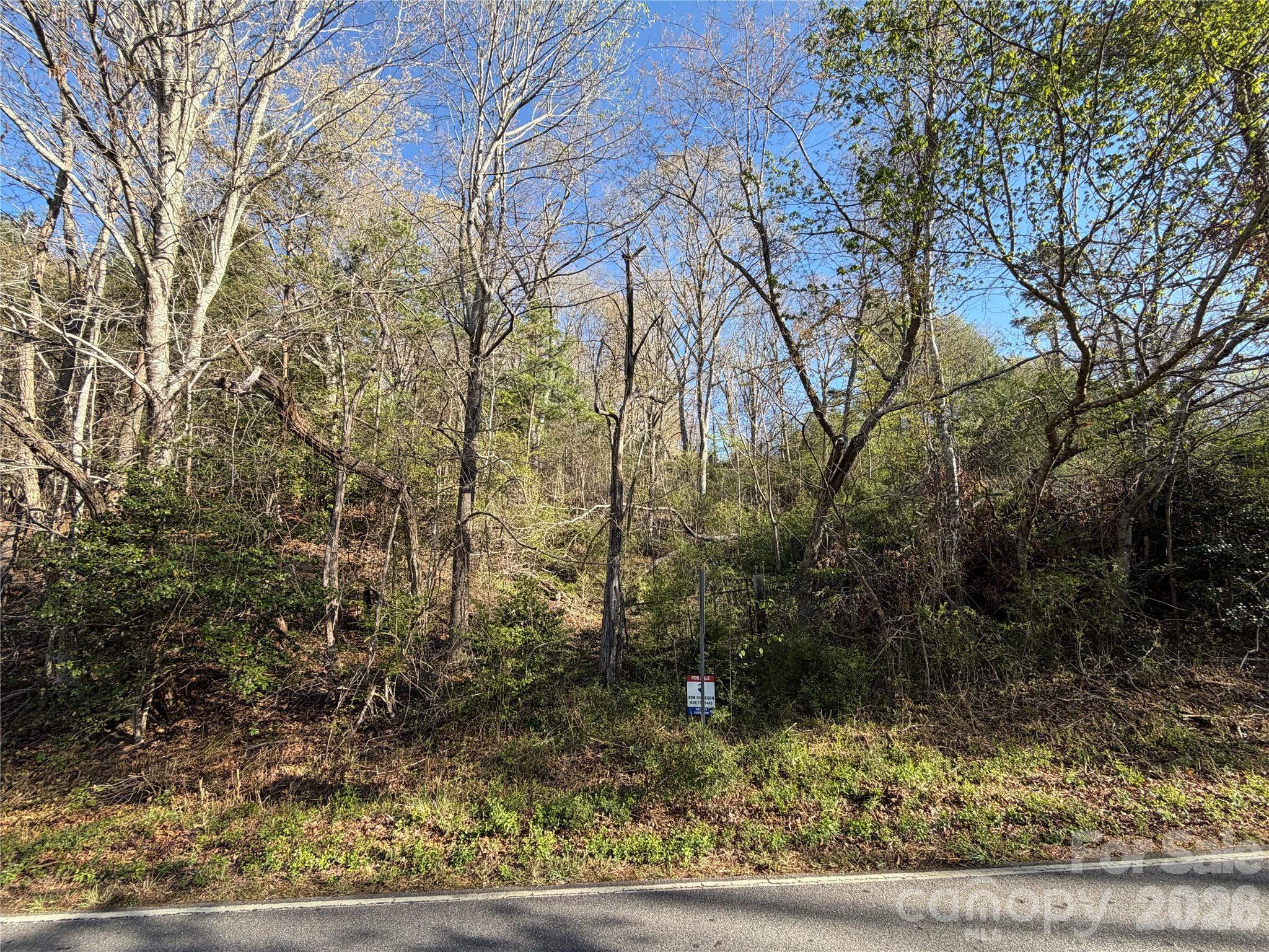 Wooded vacant lot beside a road, with a for-sale sign among the trees.