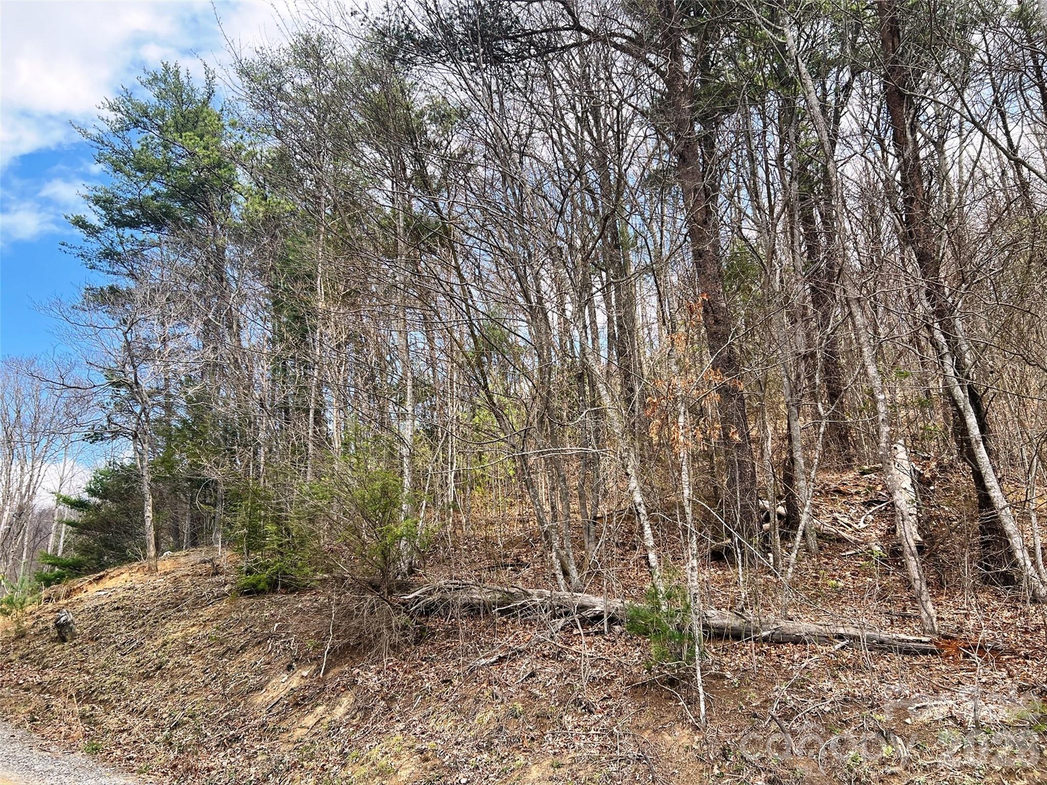 TBD Moonbeam Lane Unit: 101,102
