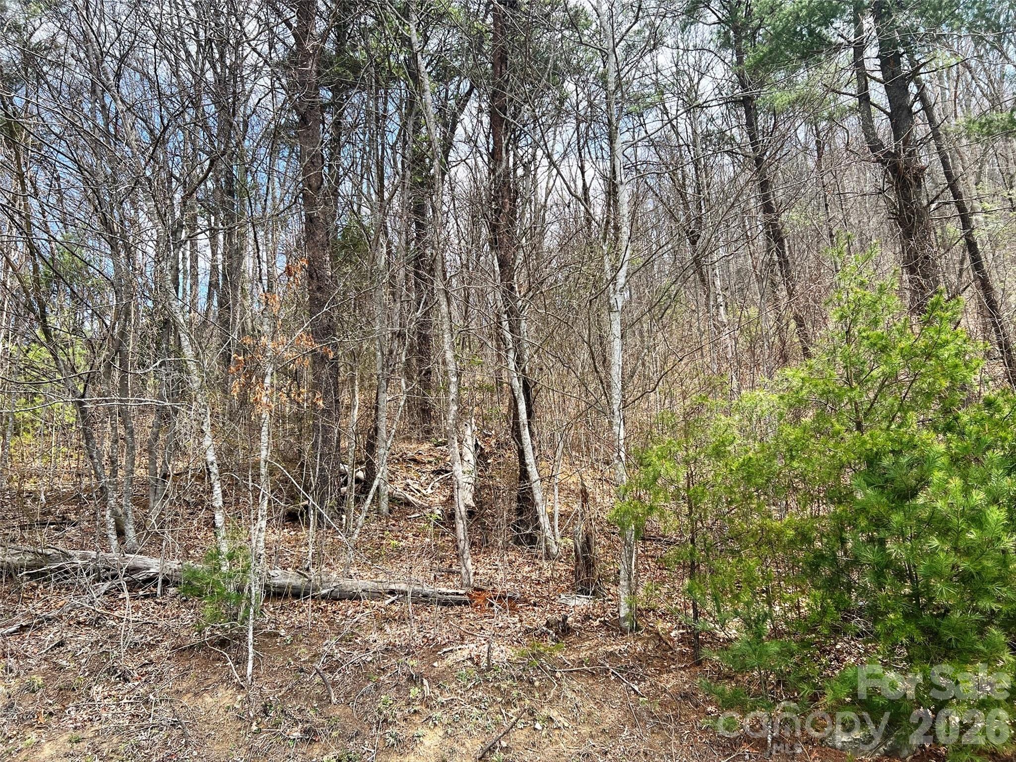 TBD Moonbeam Lane Unit: 101,102