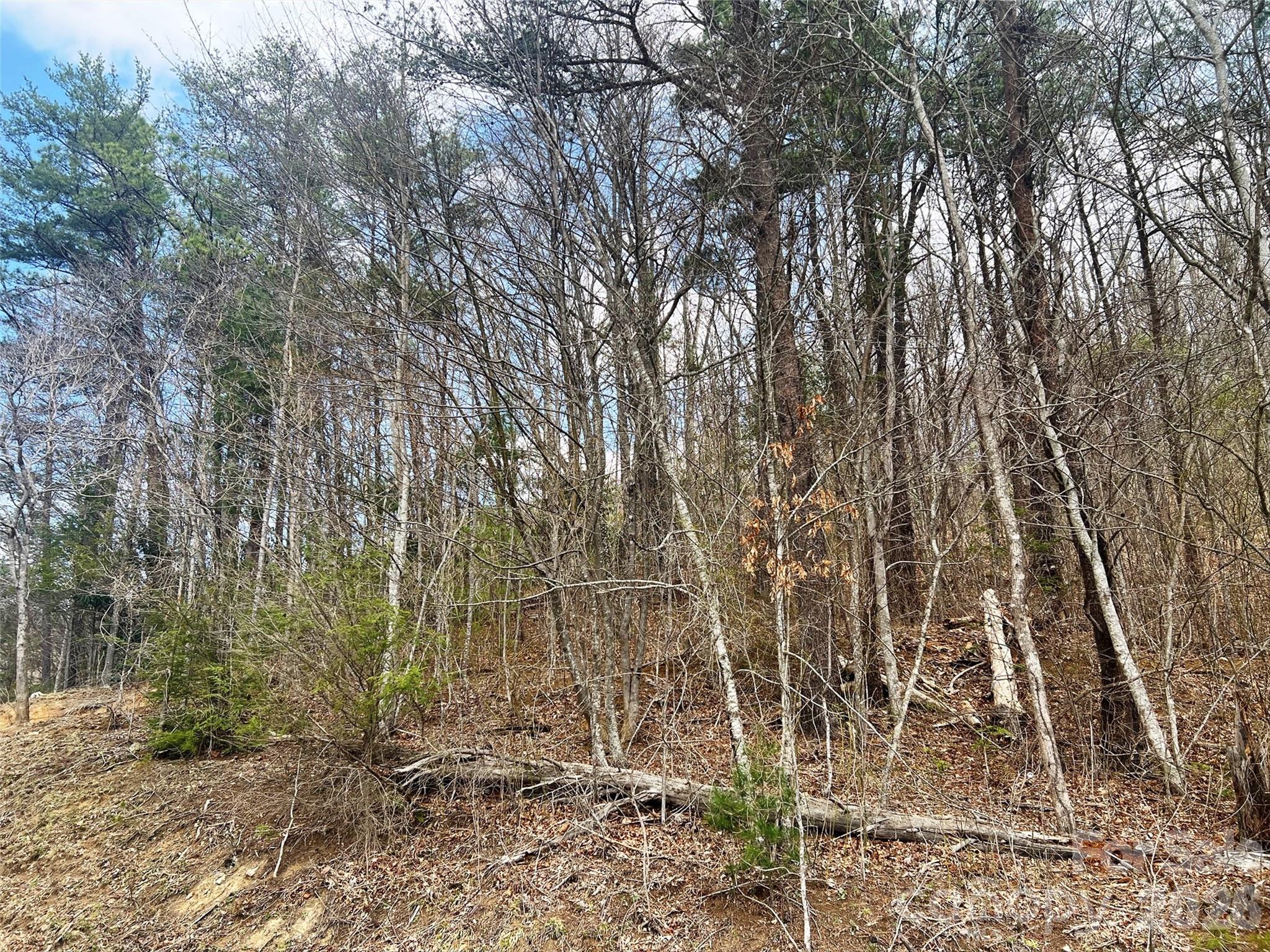 TBD Moonbeam Lane Unit: 101,102