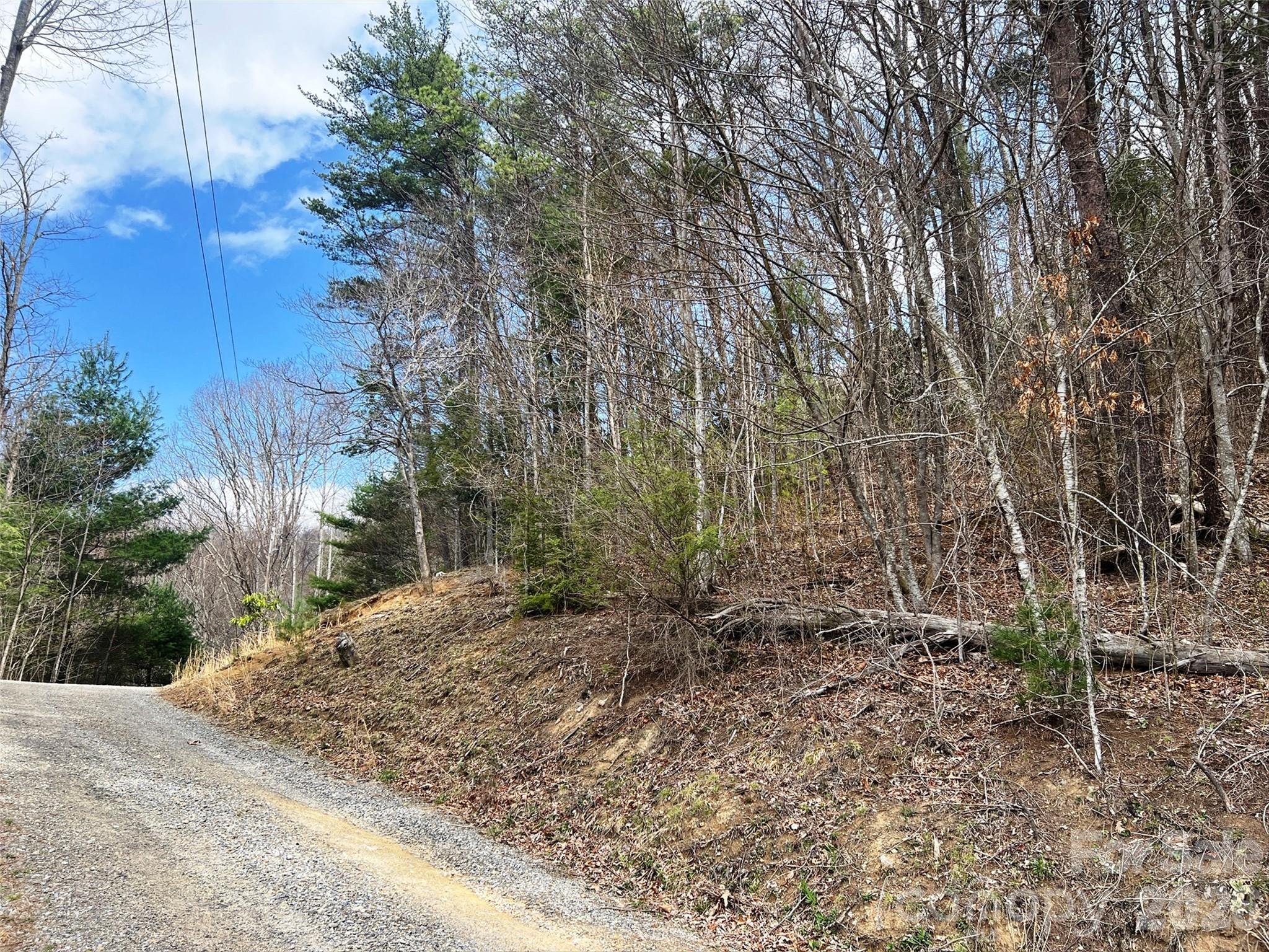 TBD Moonbeam Lane Unit: 101,102