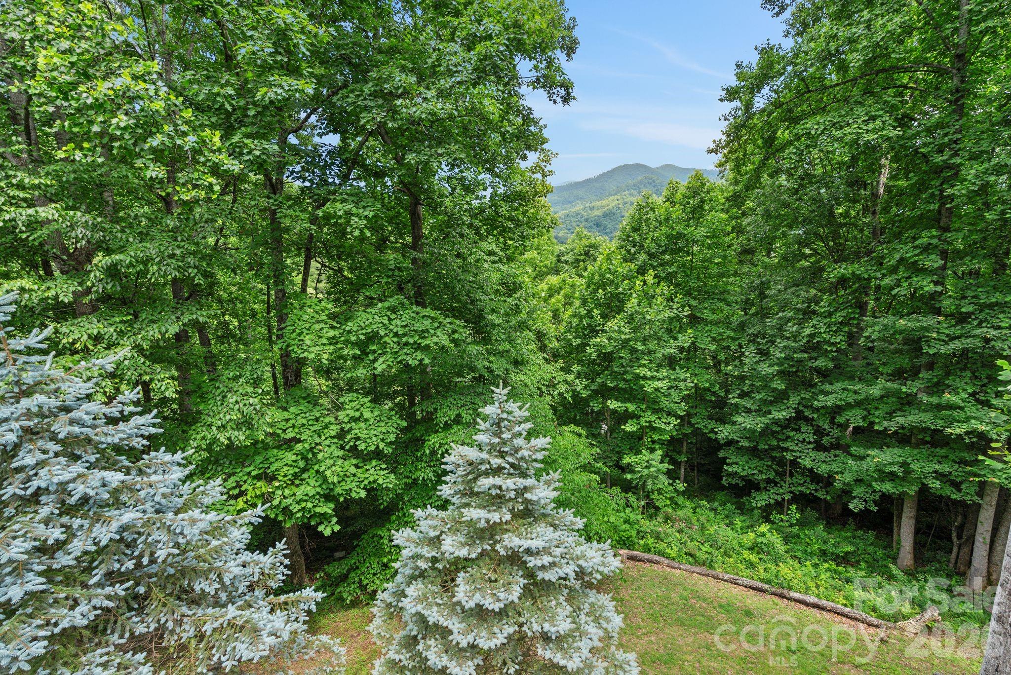 522 Silver Hawk Lane
