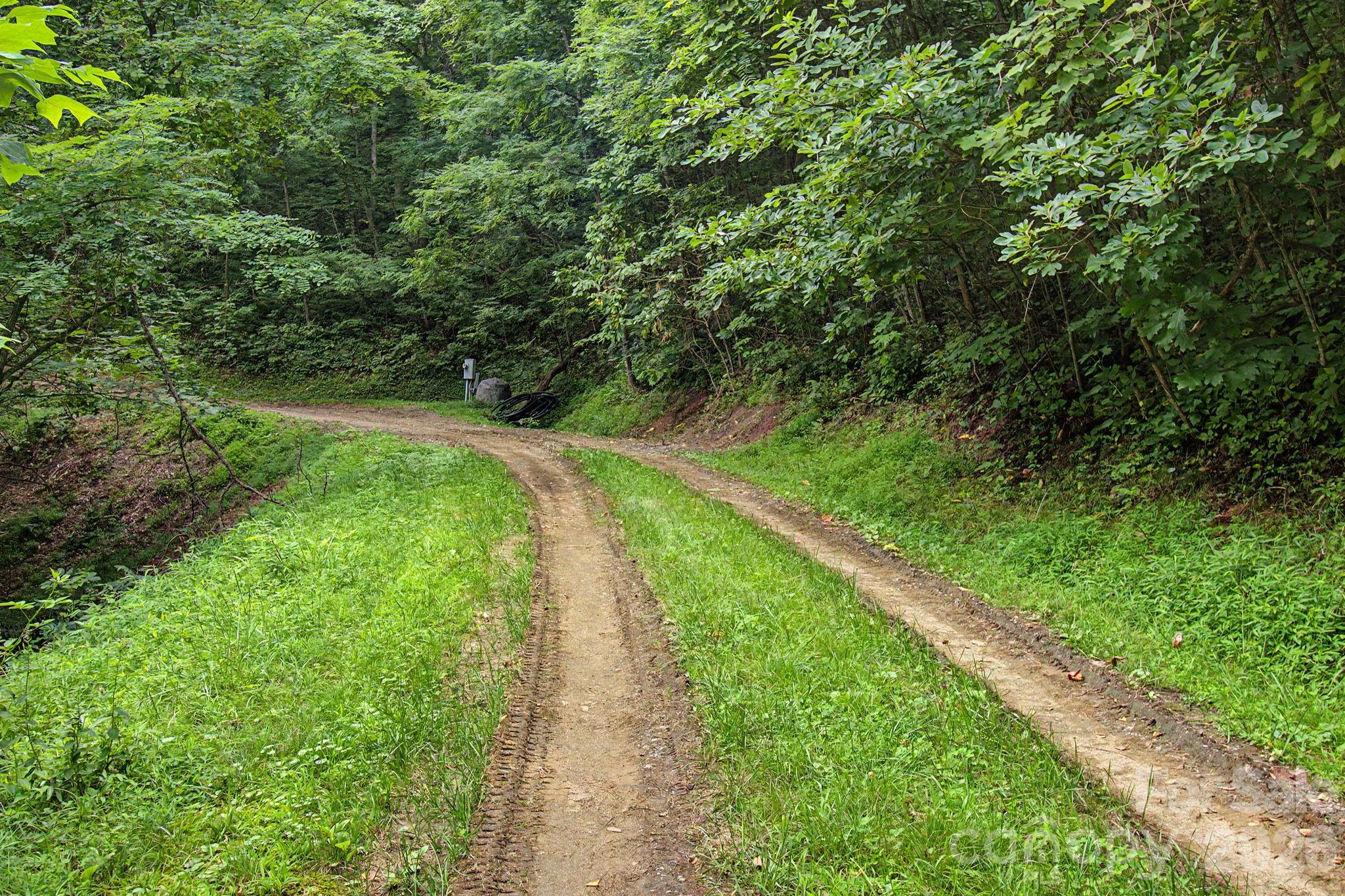 99999 Davidson Gap Road Unit: 79