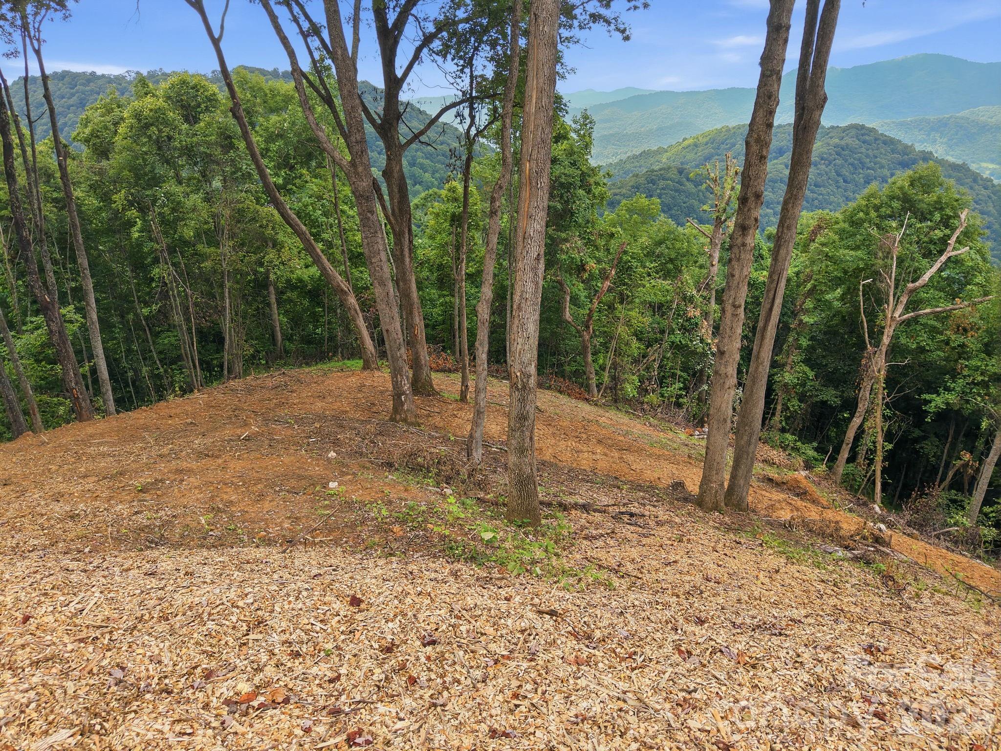 Cleared wooded building site with forested mountain ridges visible through the trees.