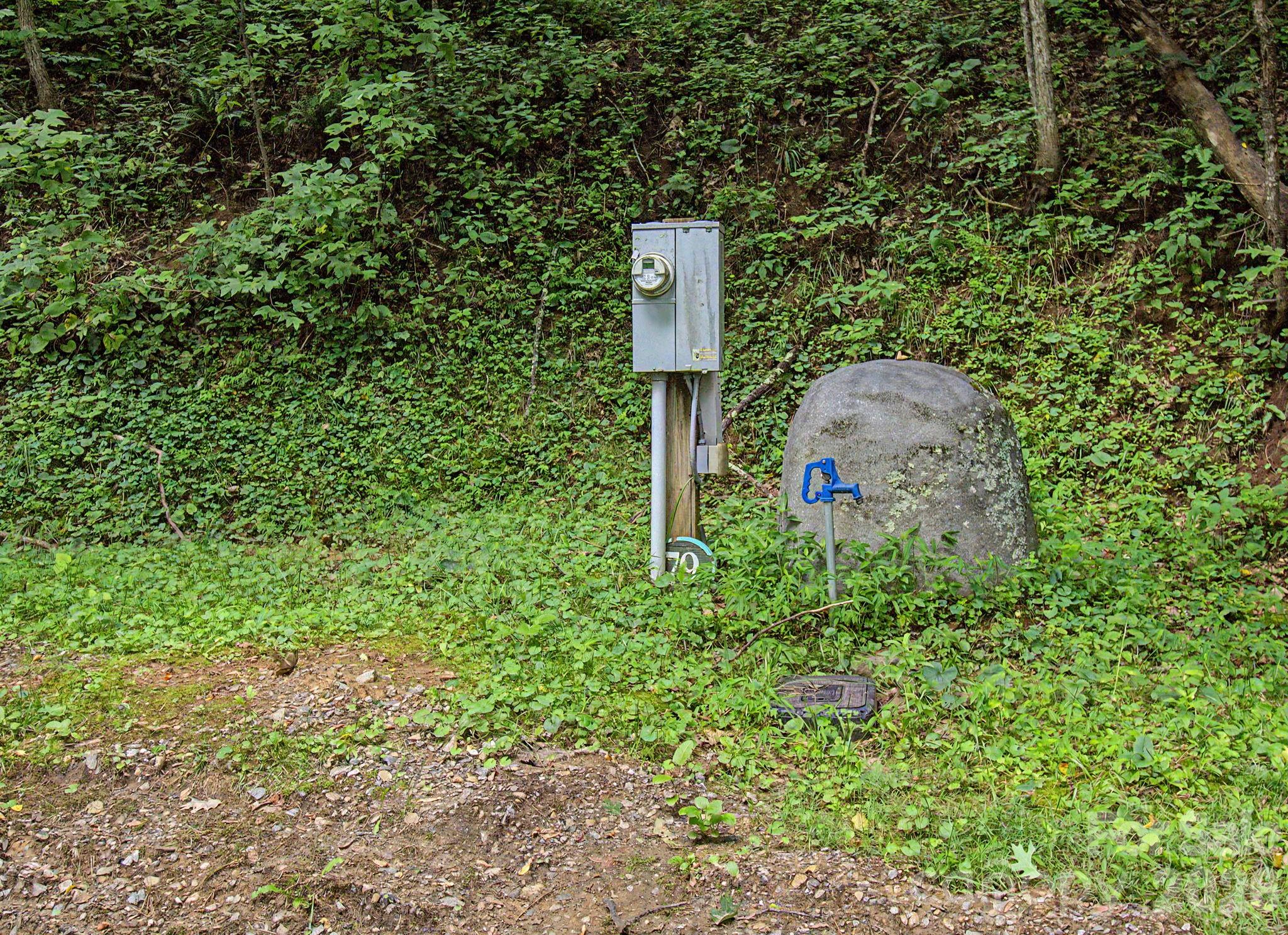 99999 Davidson Gap Road Unit: 79