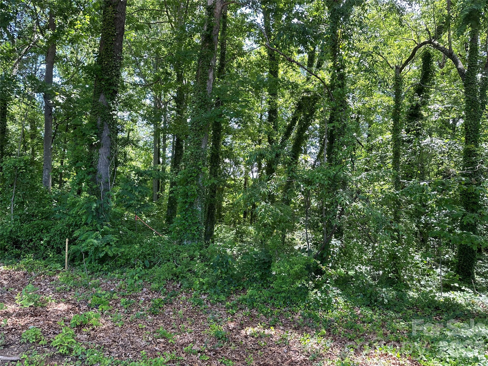 25 Oak Hill Drive Unit: 1