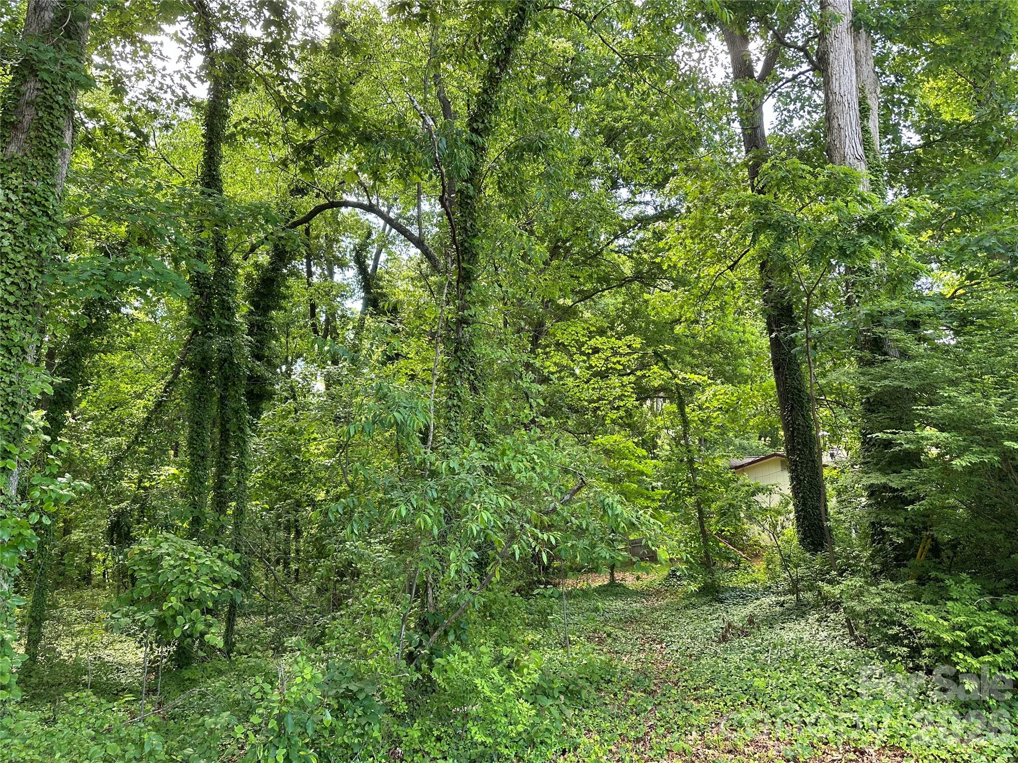 25 Oak Hill Drive Unit: 1