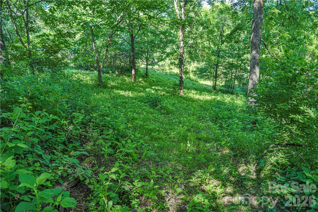 415 Weaverville Road