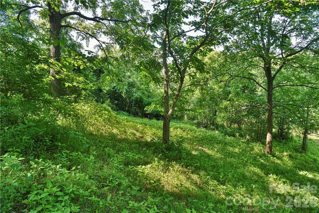 415 Weaverville Road