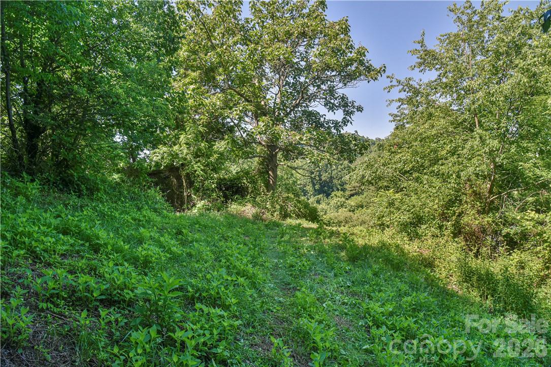 415 Weaverville Road