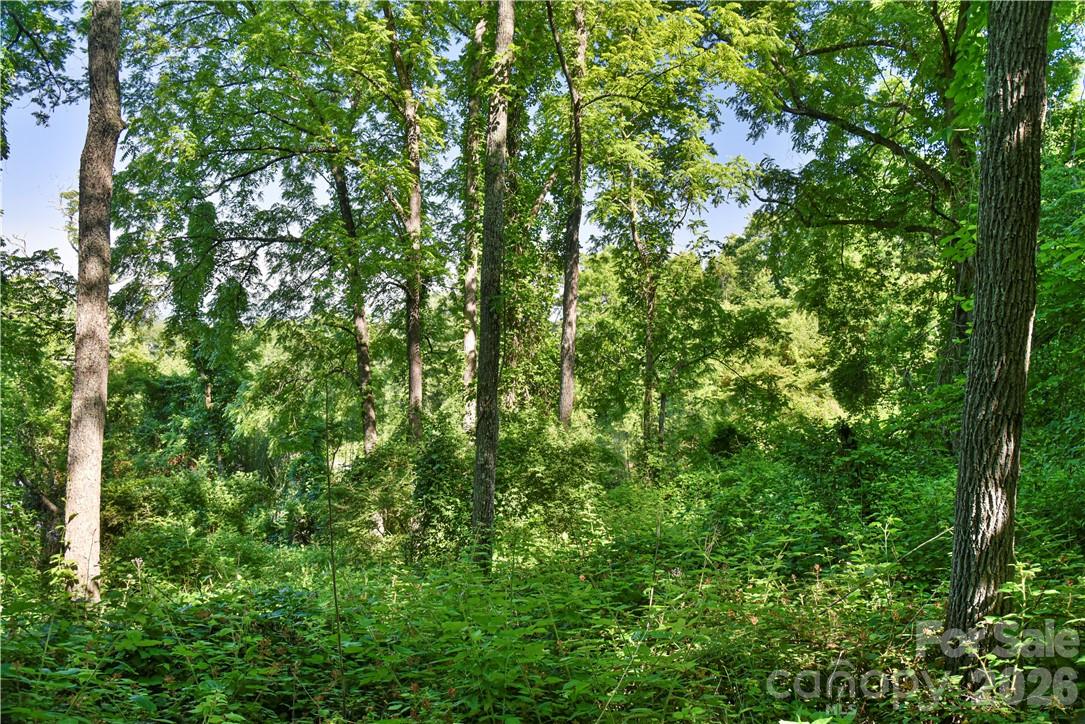 415 Weaverville Road