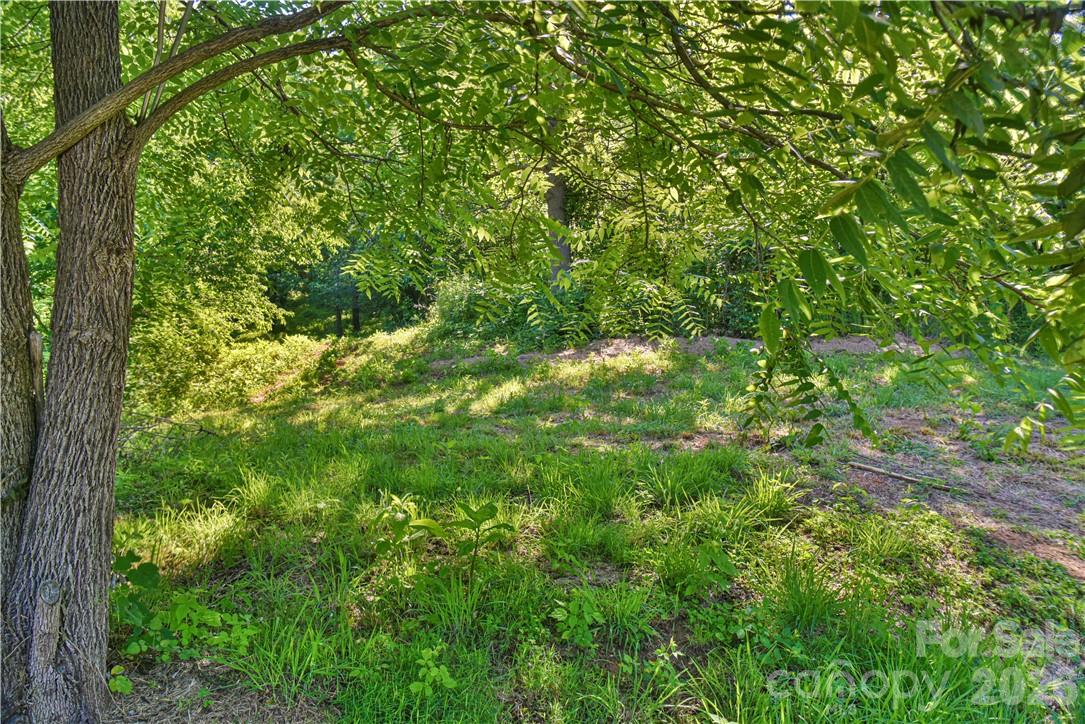 415 Weaverville Road