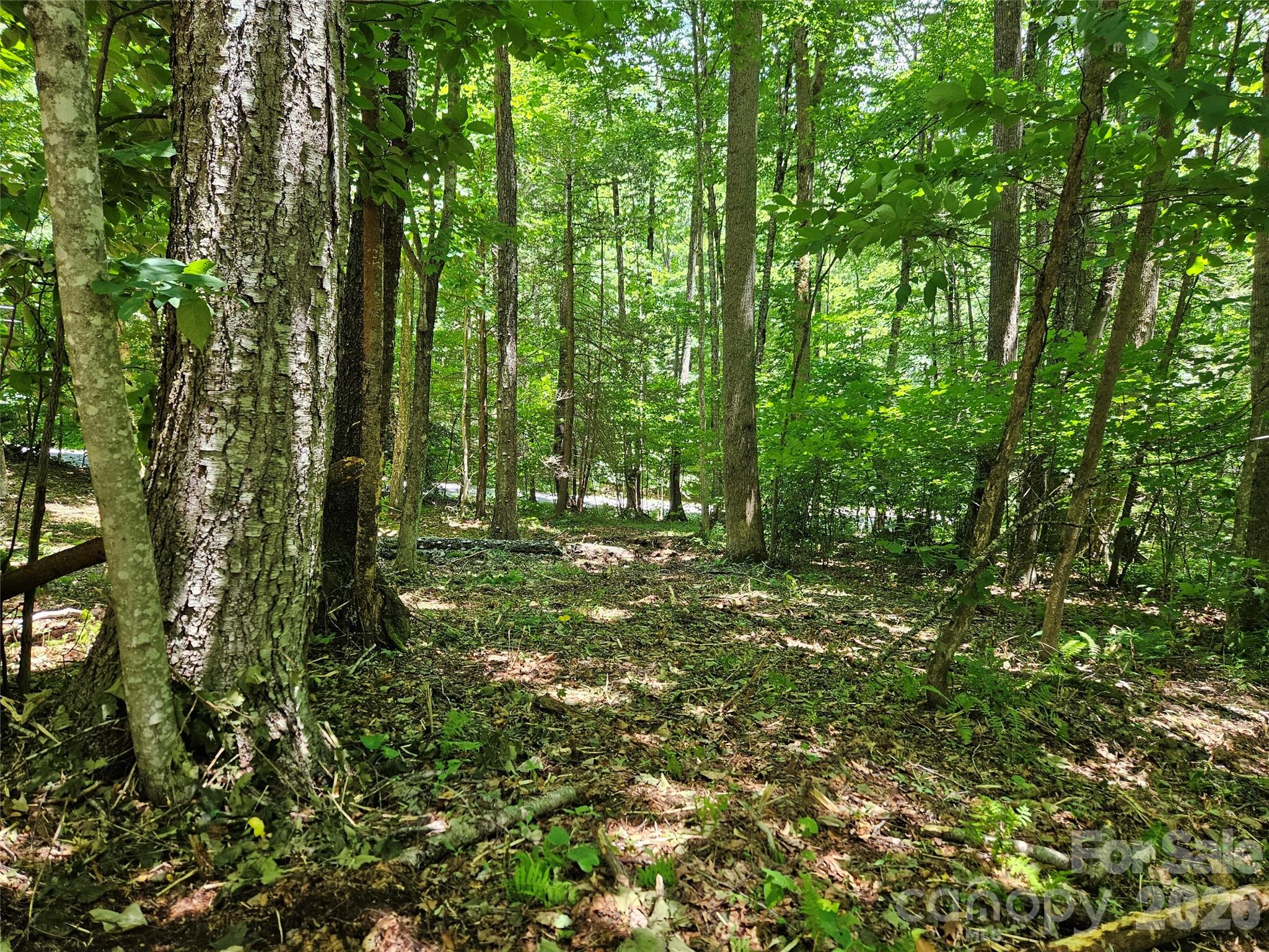 0 Serenity Mountain Road Unit: 108