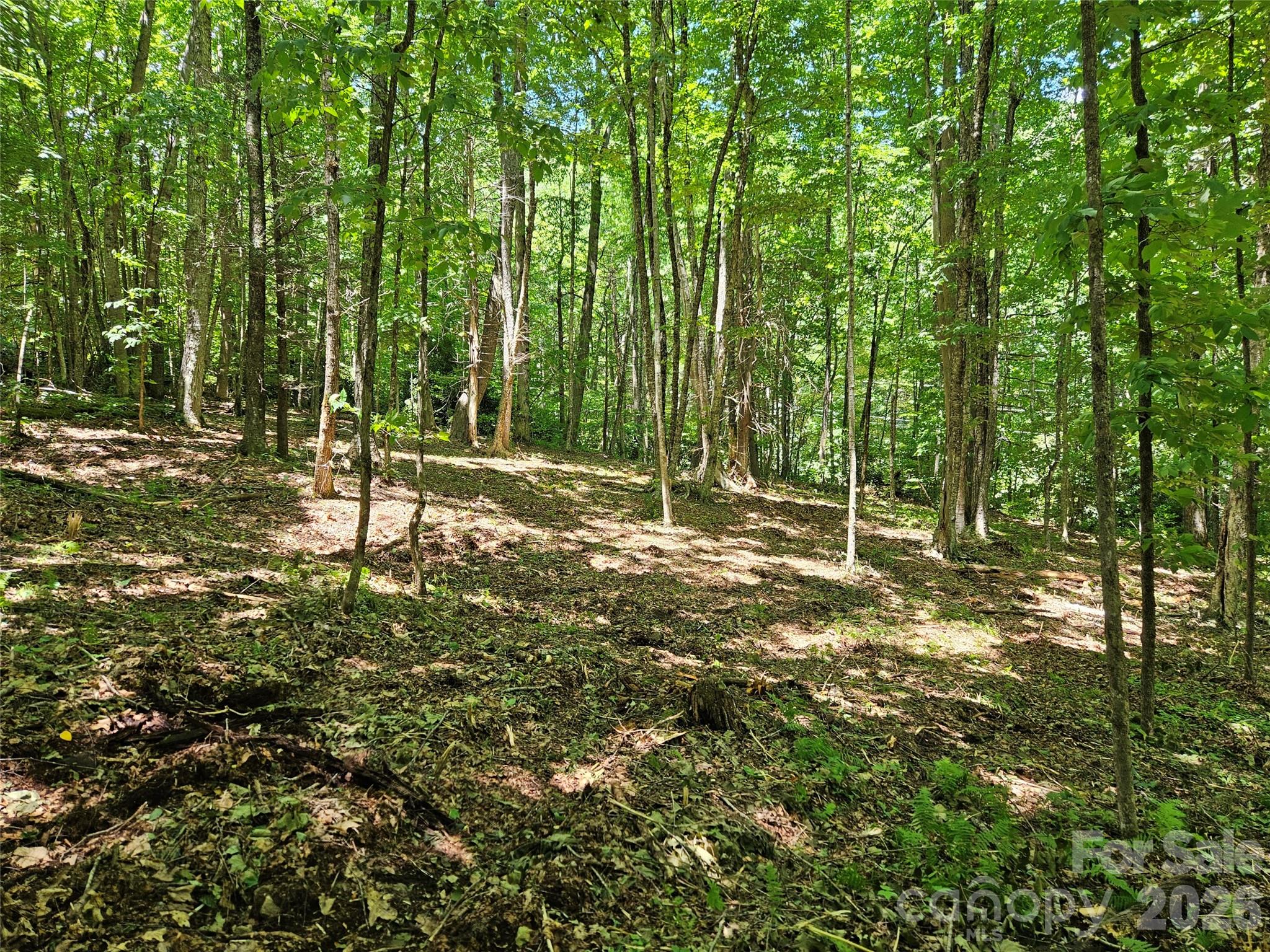 0 Serenity Mountain Road Unit: 108