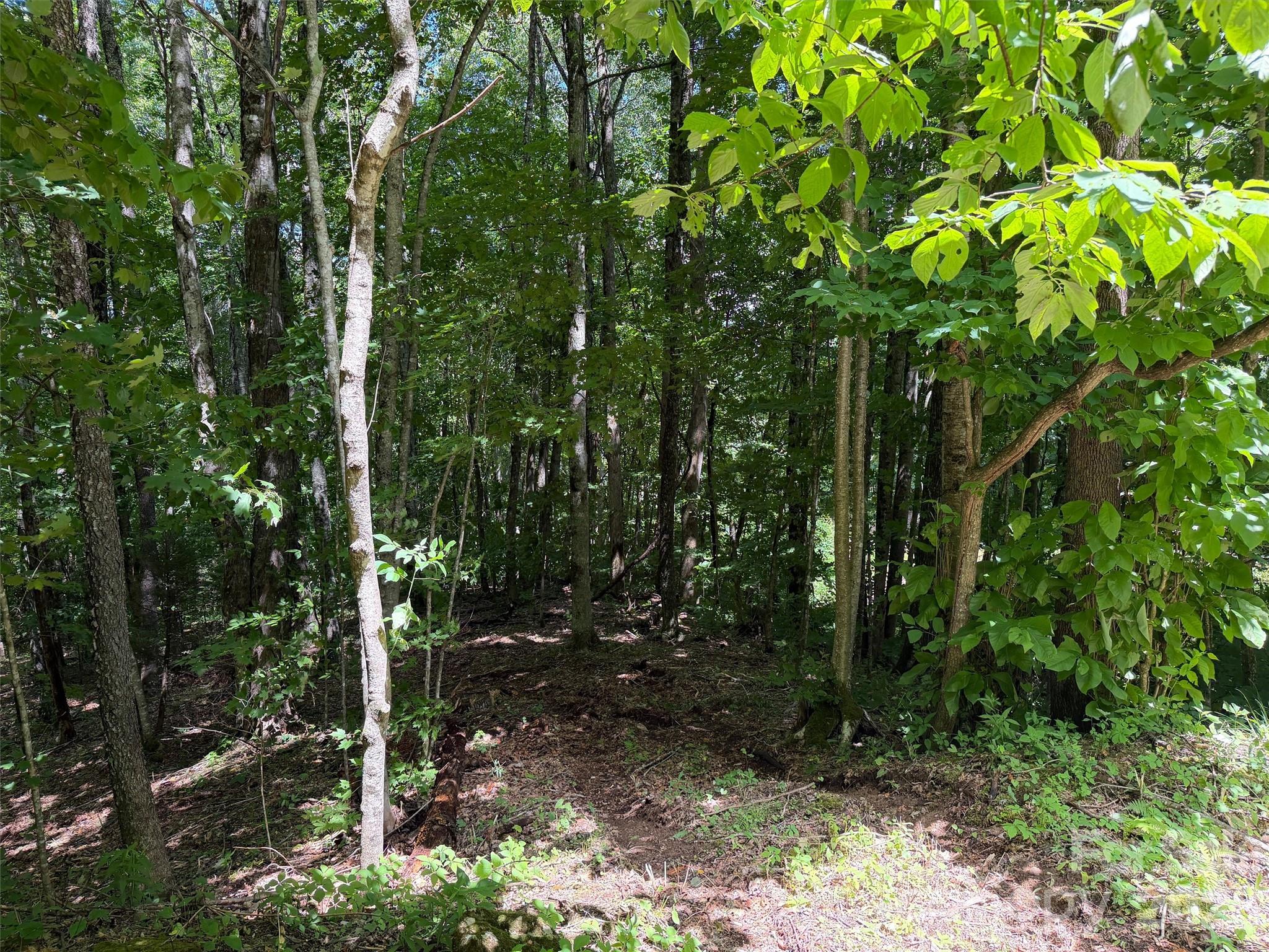 0 Serenity Mountain Road Unit: 108