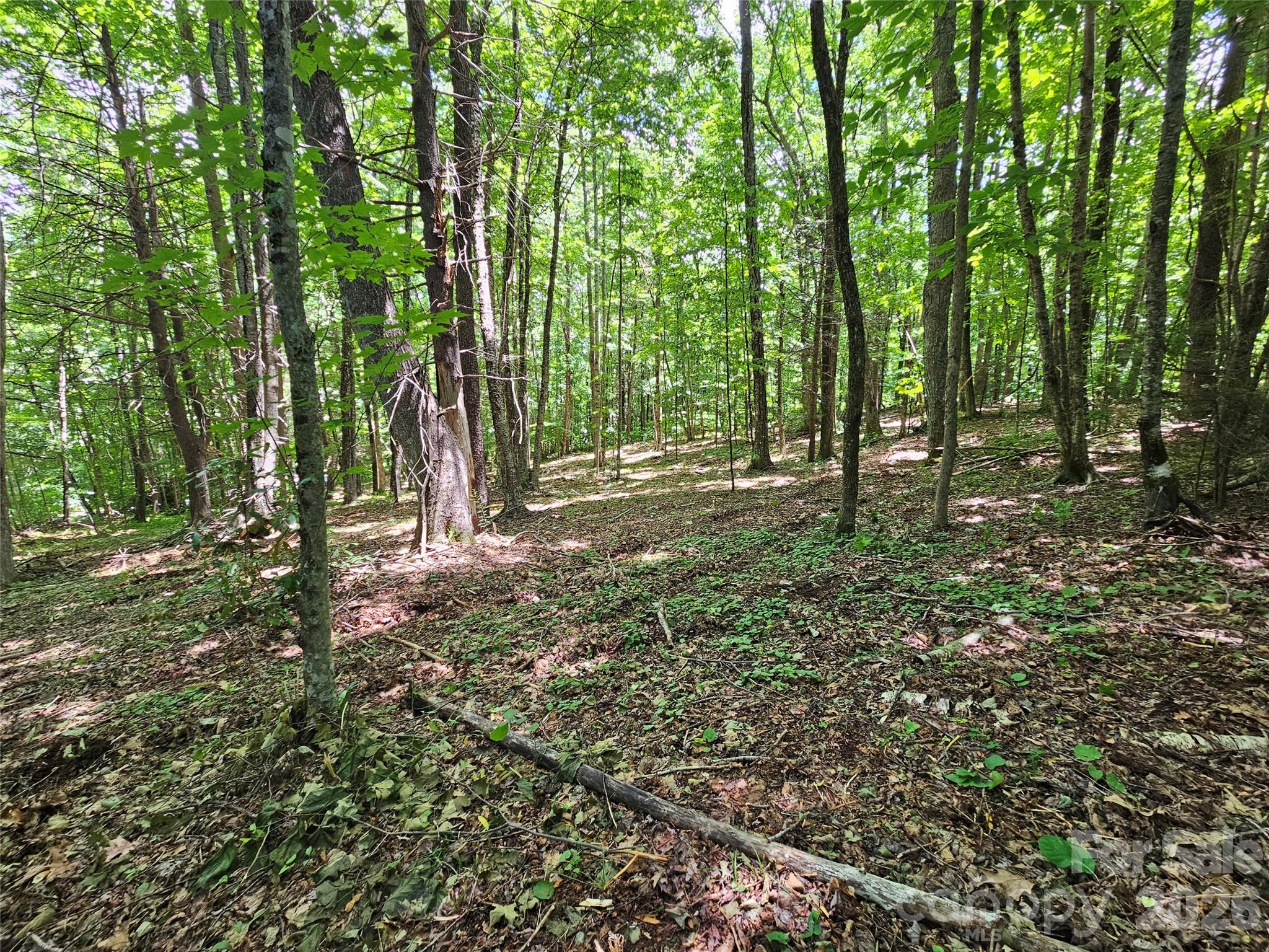 0 Serenity Mountain Road Unit: 108