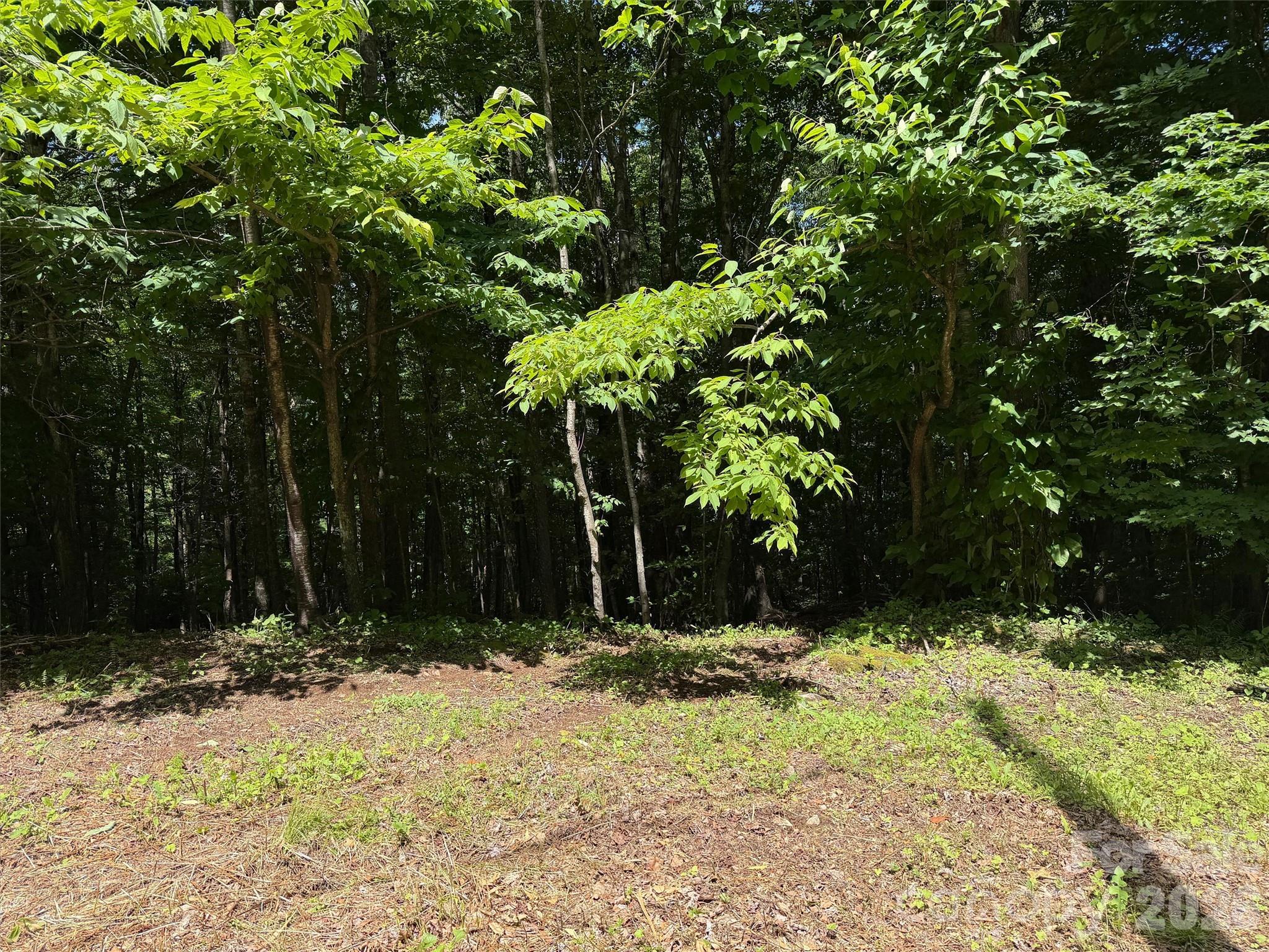 0 Serenity Mountain Road Unit: 108