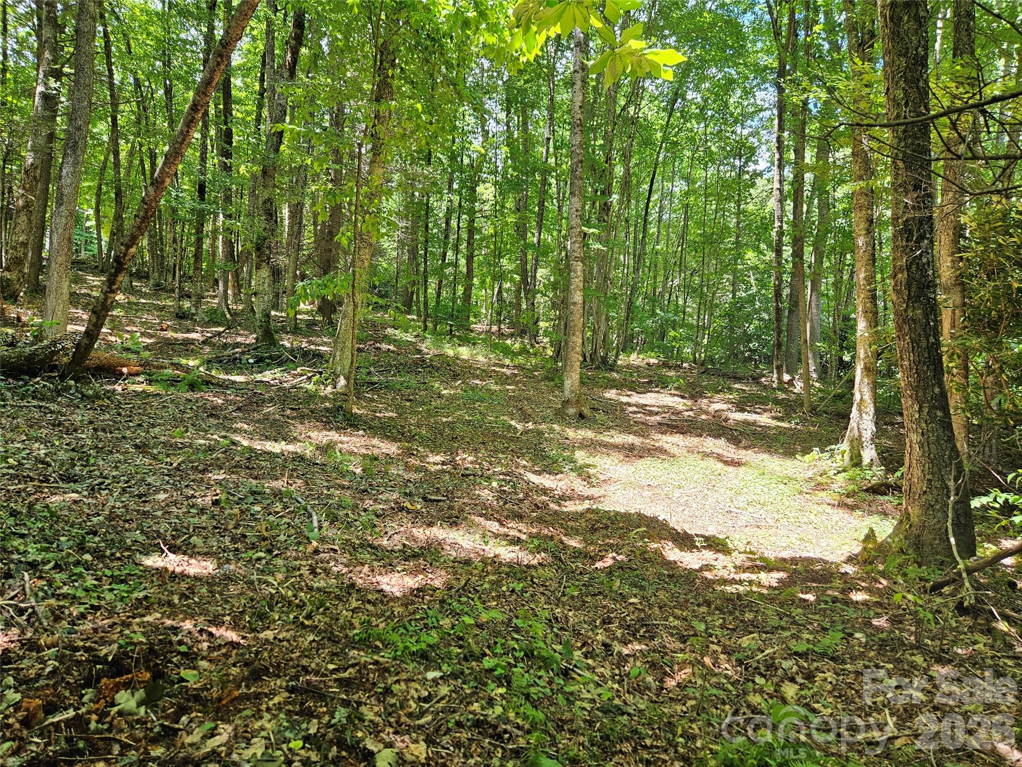 0 Serenity Mountain Road Unit: 108