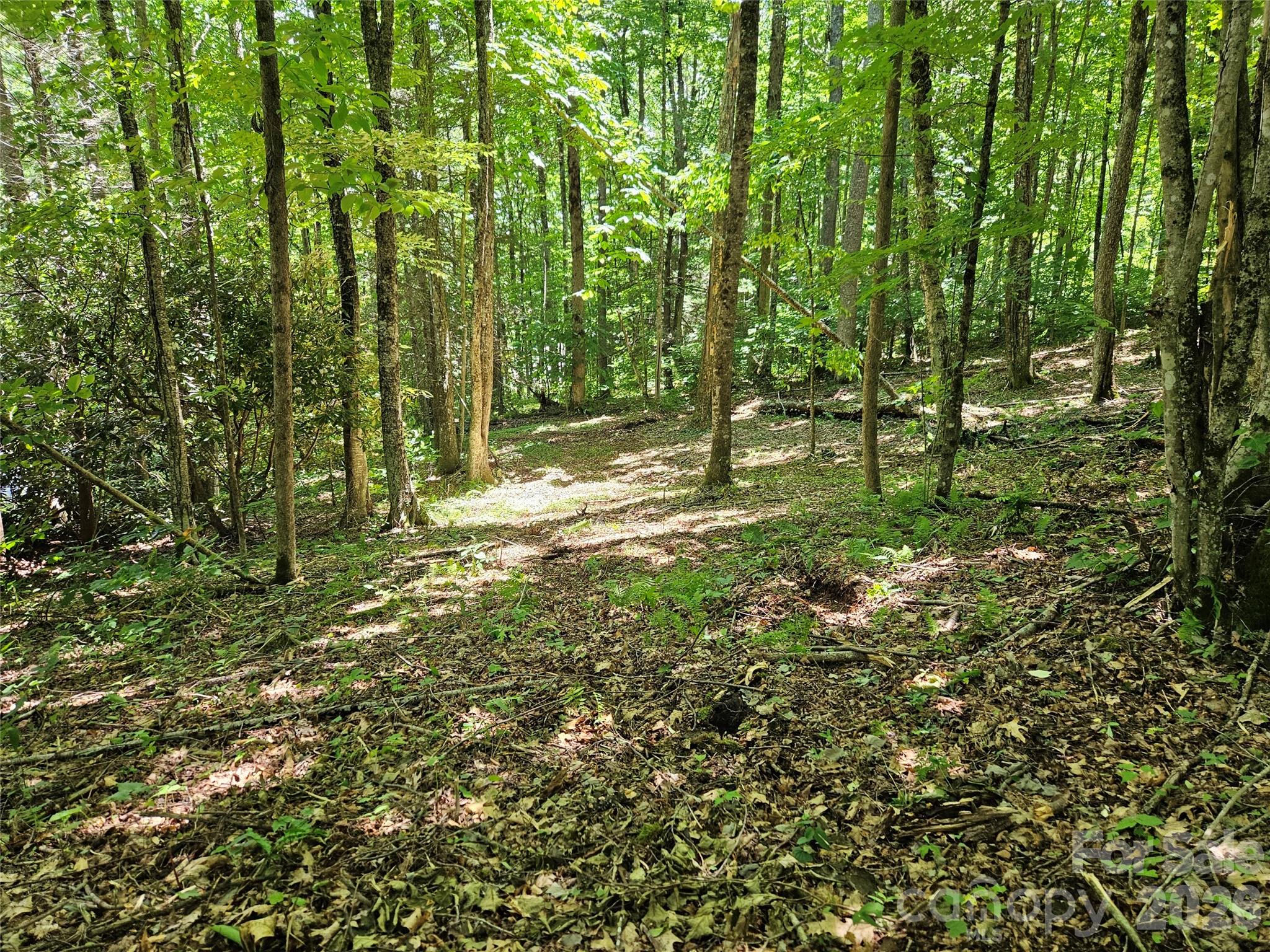 0 Serenity Mountain Road Unit: 108
