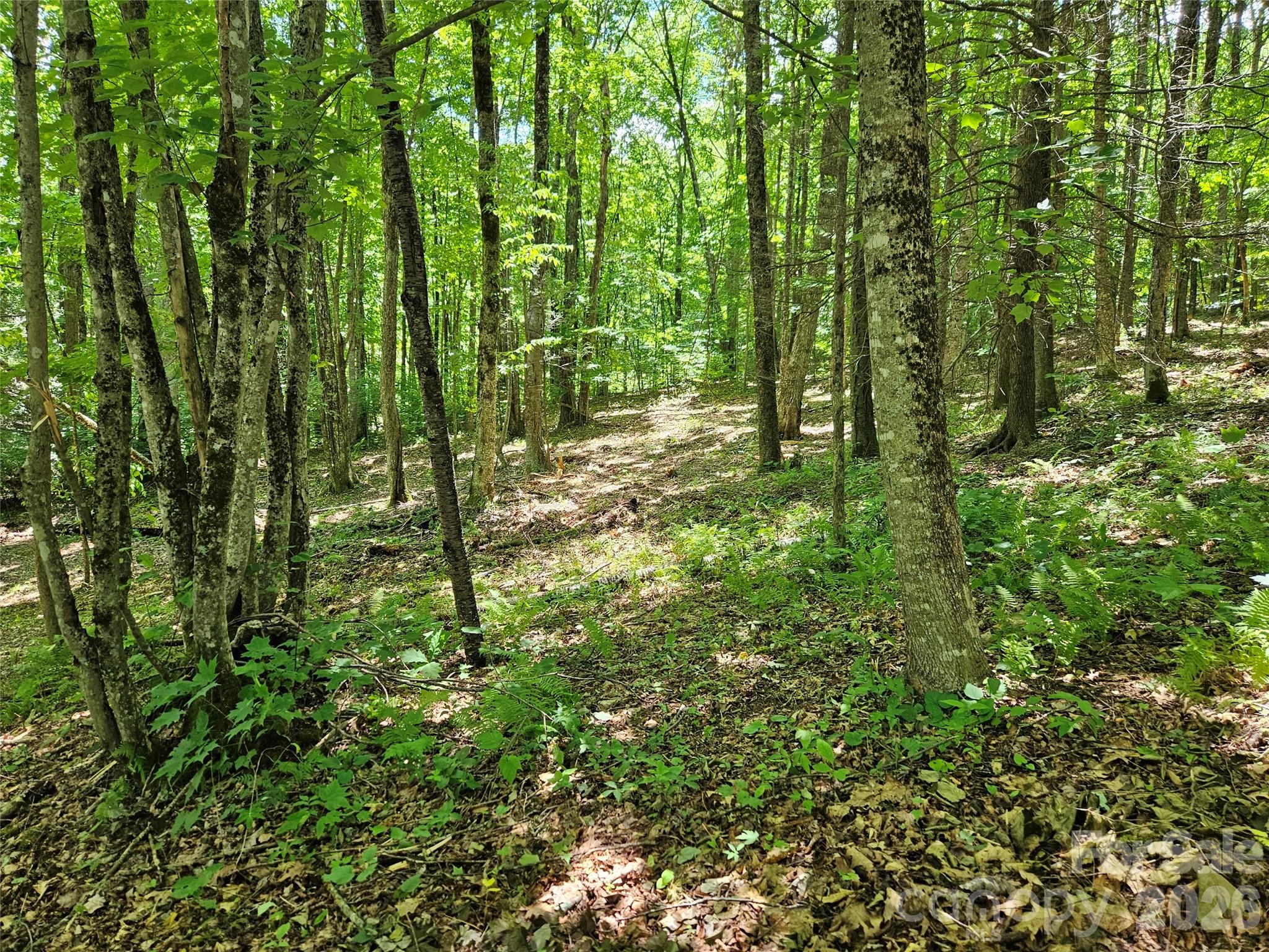 0 Serenity Mountain Road Unit: 108