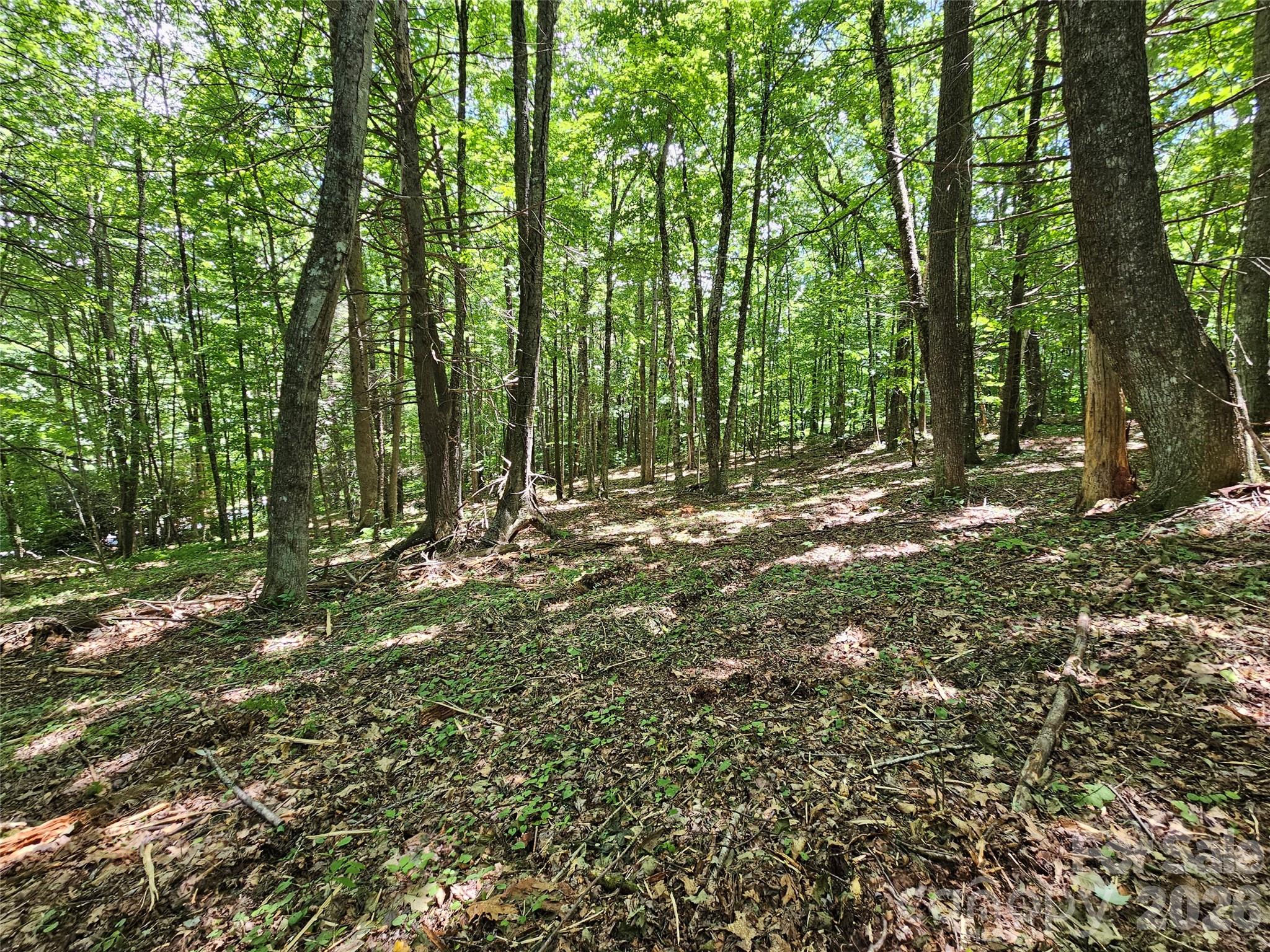 0 Serenity Mountain Road Unit: 108