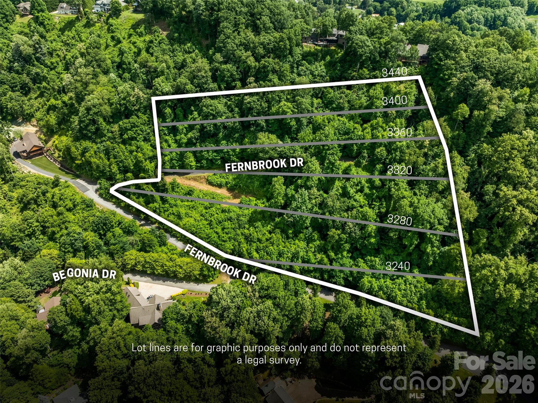 Aerial view of wooded Fernbrook Drive lots outlined with boundary lines beside Begonia Drive.