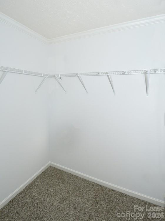 5433 King Wilkinson Road
