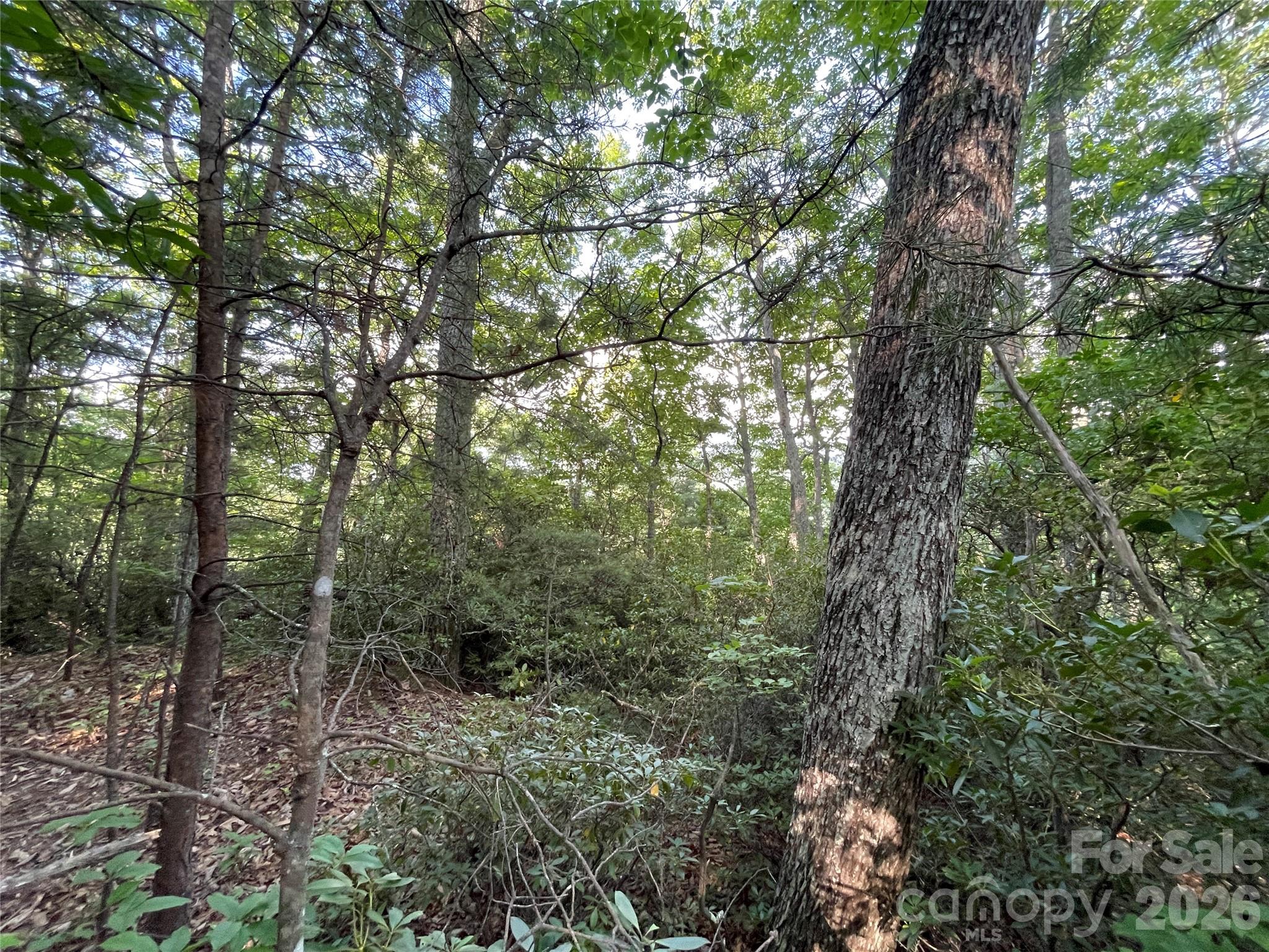 225 Lucerne Drive