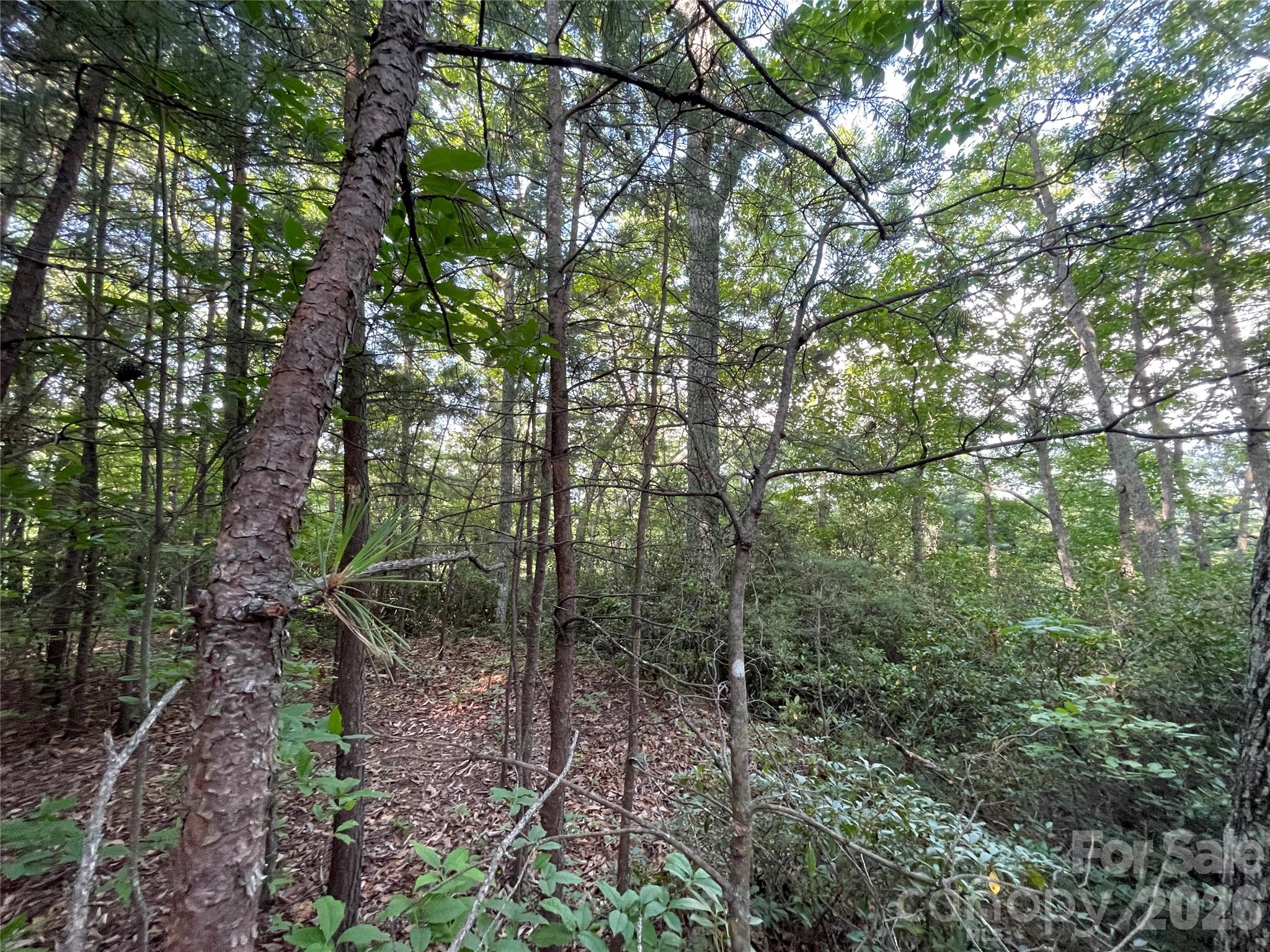 225 Lucerne Drive
