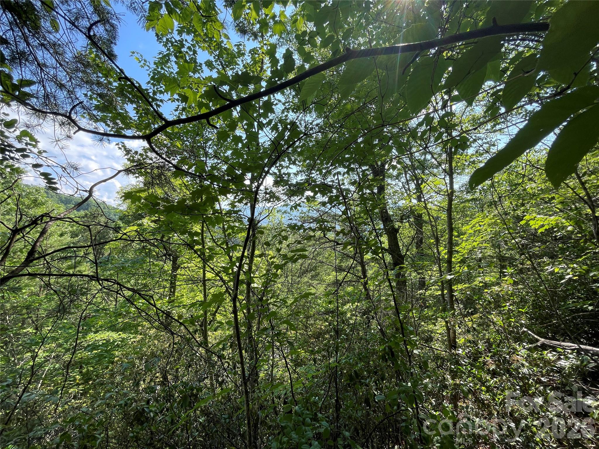 225 Lucerne Drive