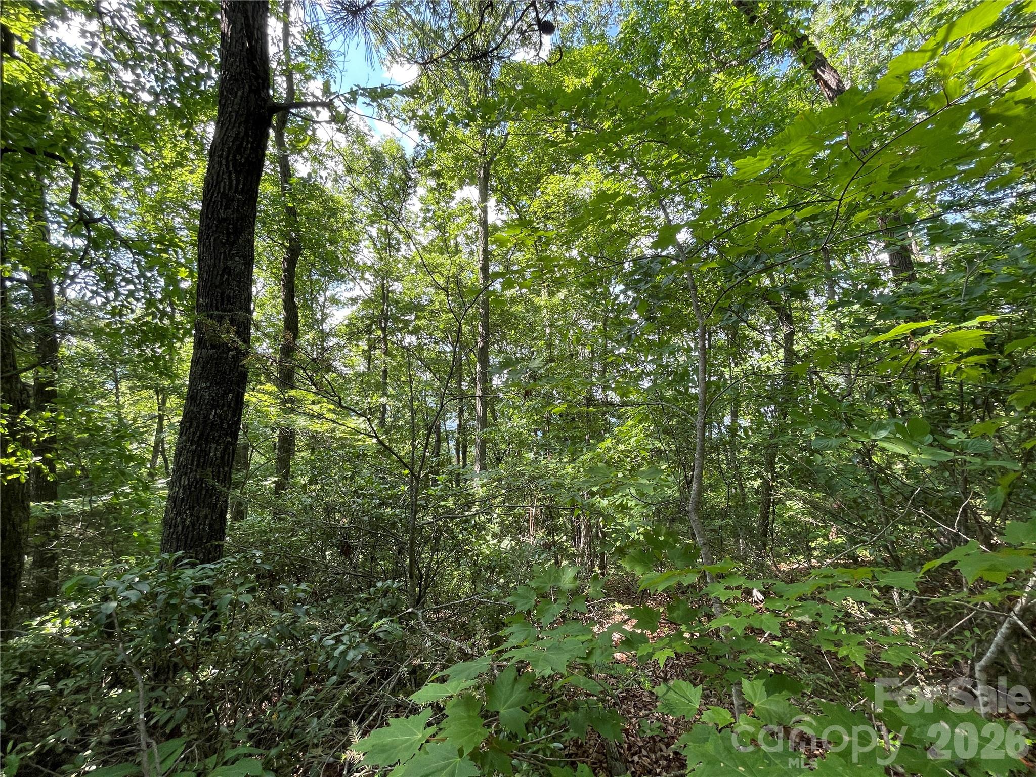 225 Lucerne Drive