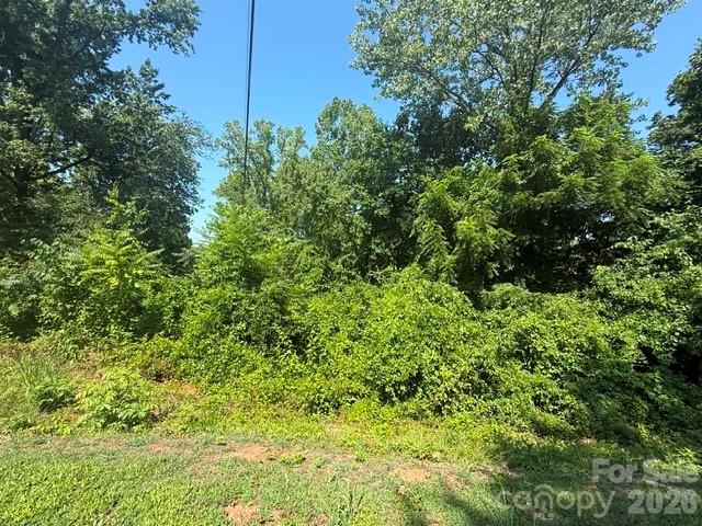 Wooded vacant lot with dense trees and shrubs along a grassy roadside.