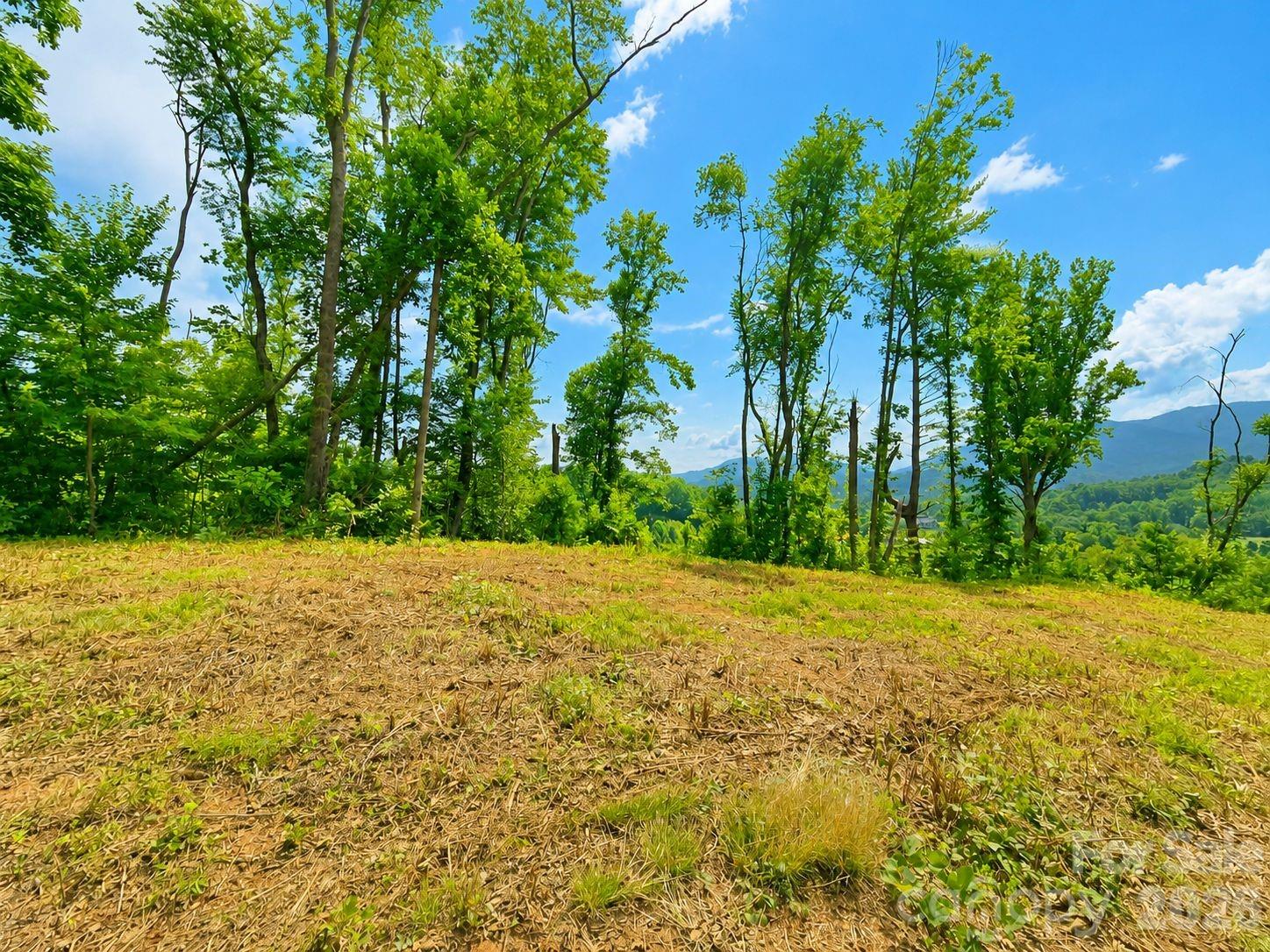 271 Sorrells Cove Road Unit: C2