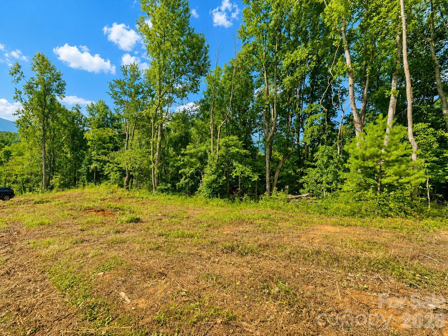 271 Sorrells Cove Road Unit: C2