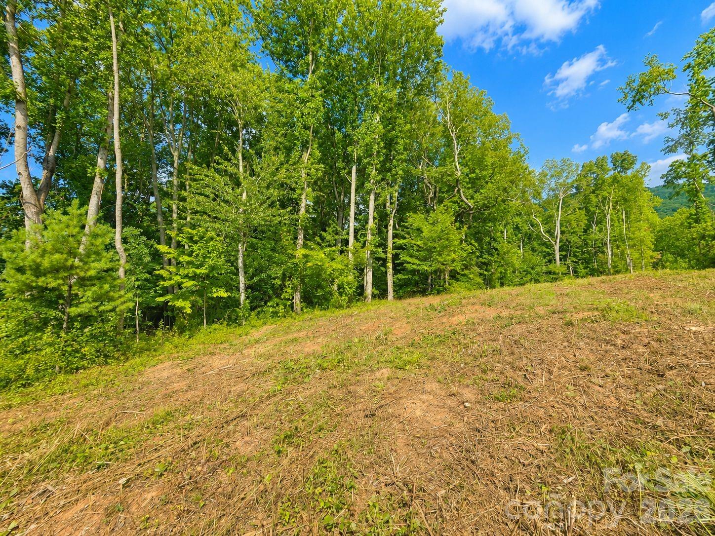 271 Sorrells Cove Road Unit: C2